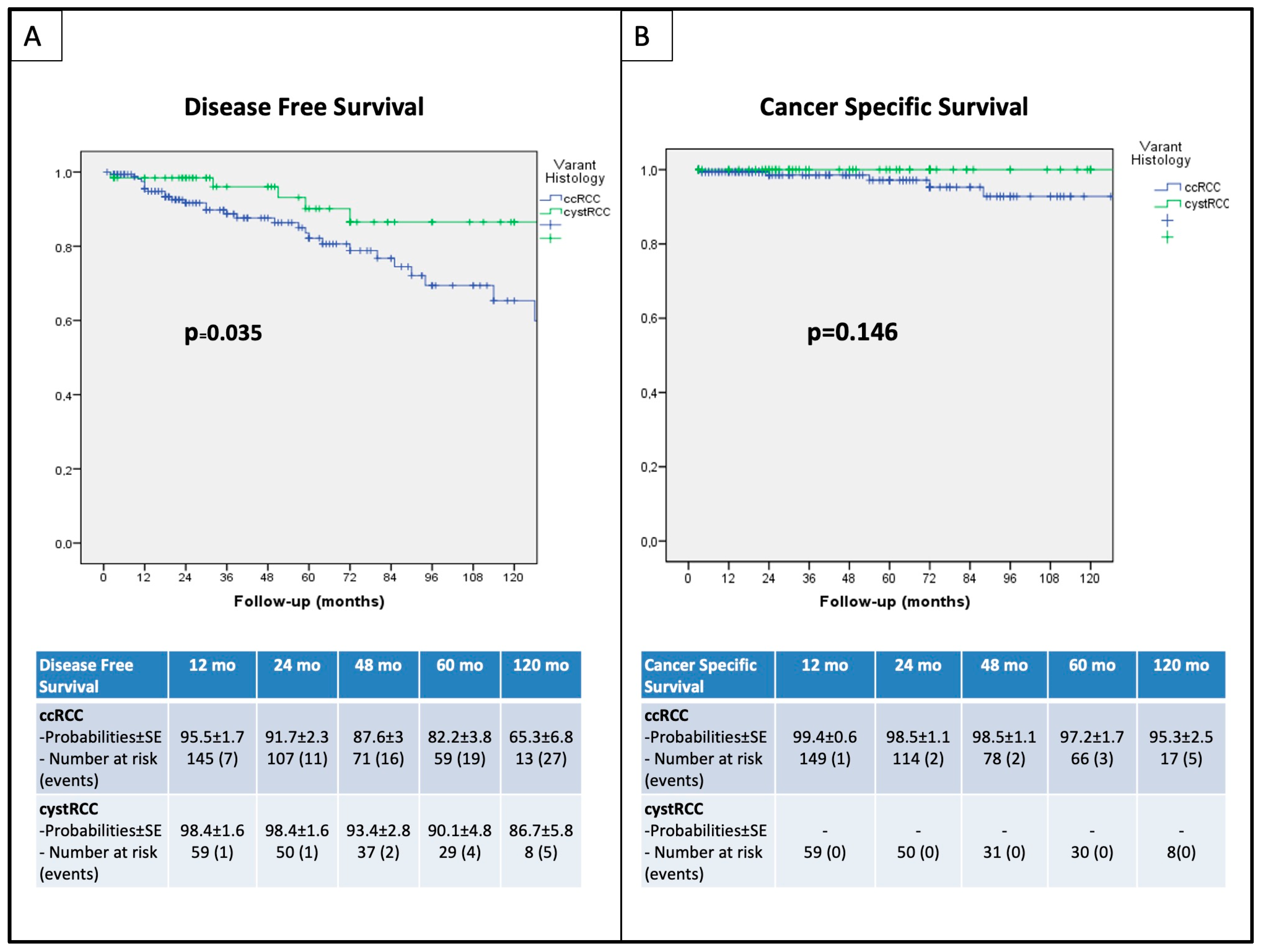 Curroncol 31 00227 g003