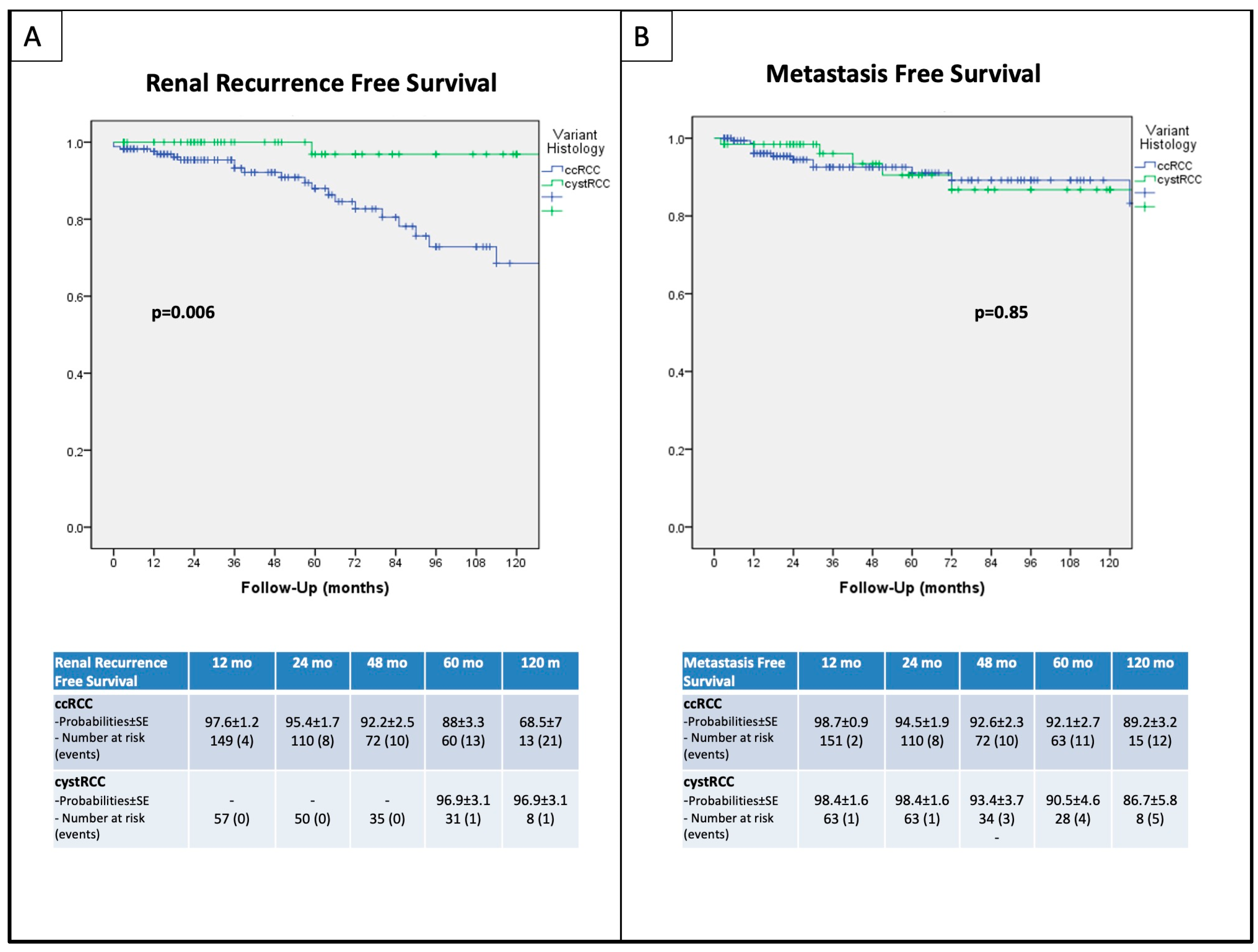 Curroncol 31 00227 g004