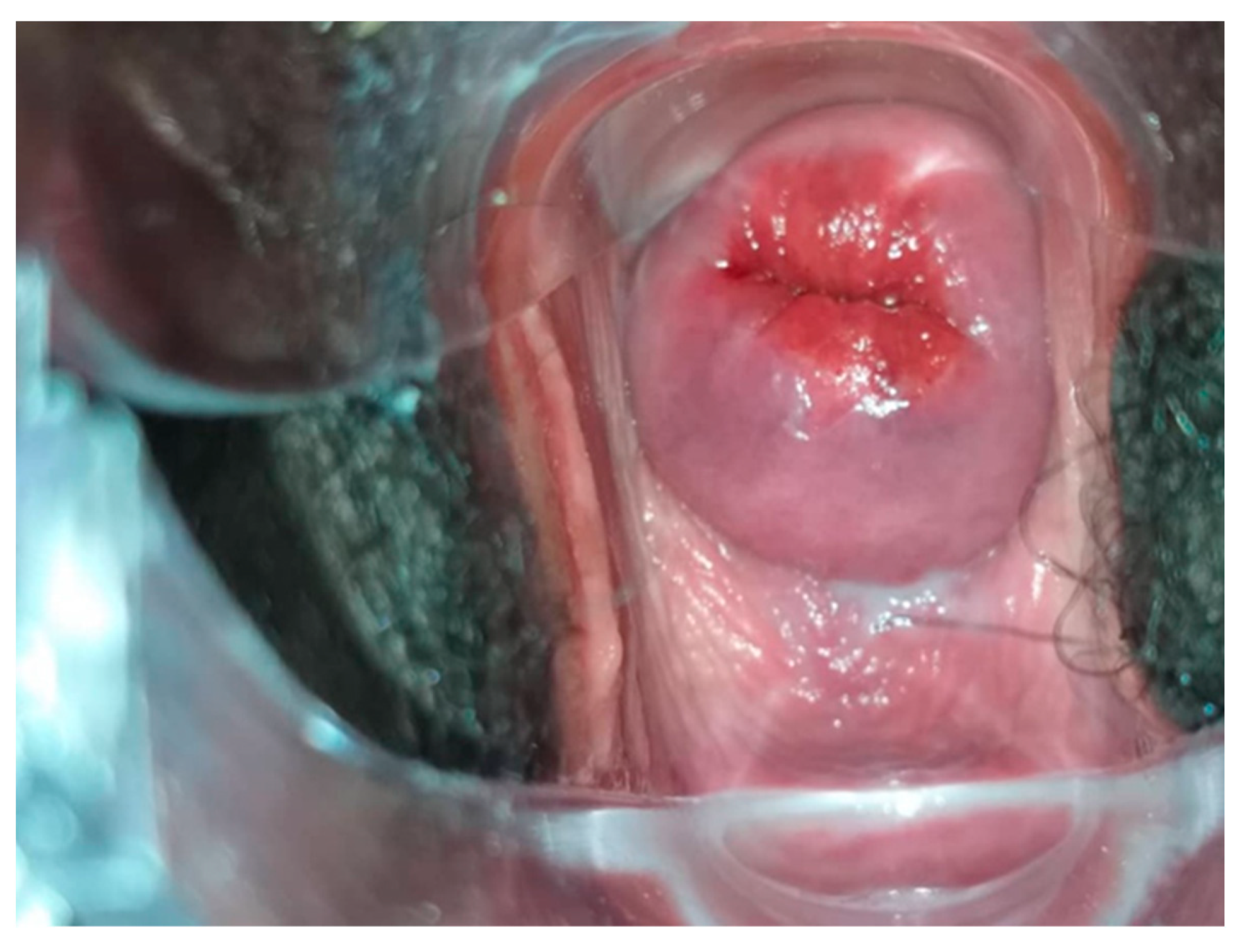 Curroncol 31 00244 g005