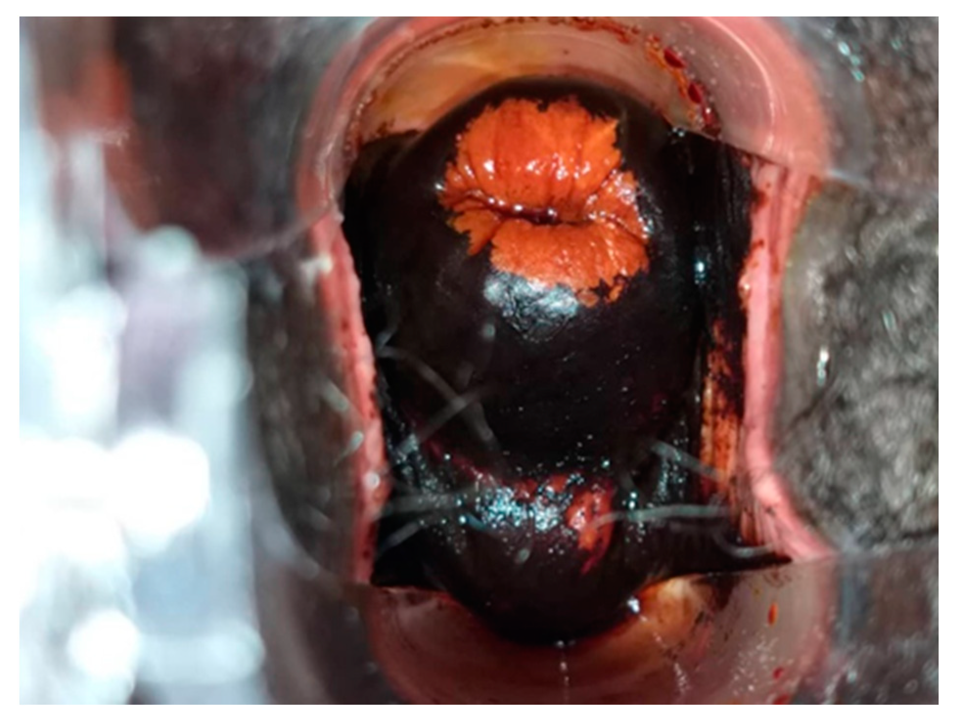 Curroncol 31 00244 g007