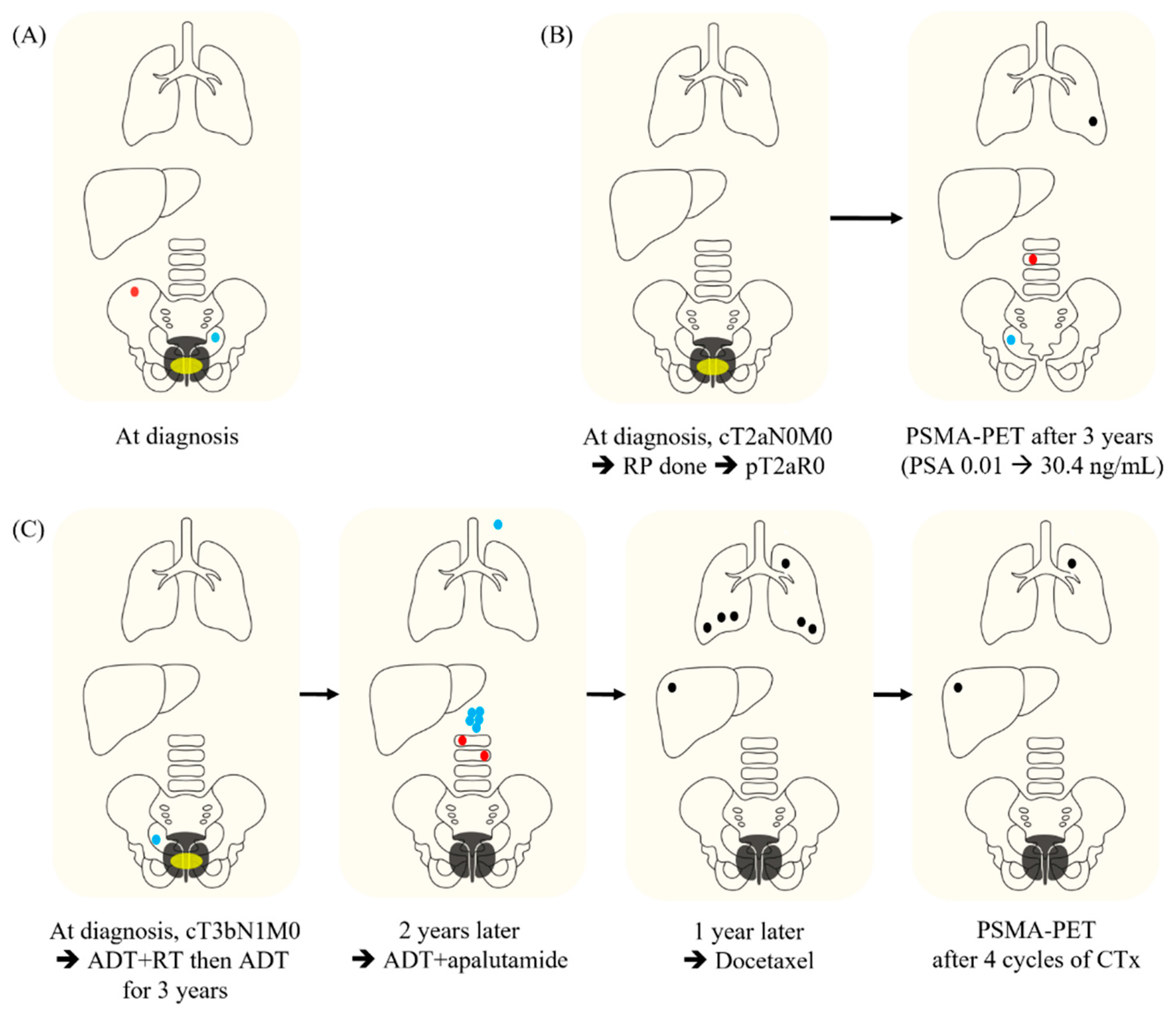Curroncol 31 00245 g002
