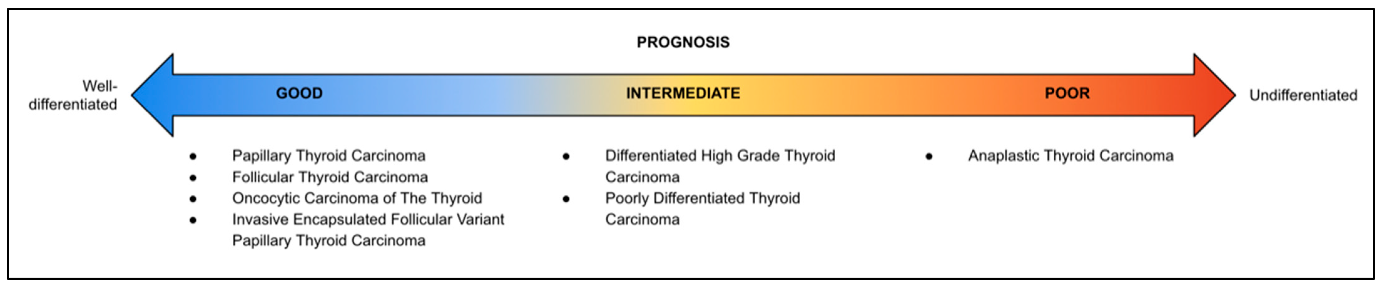 Curroncol 31 00252 g002