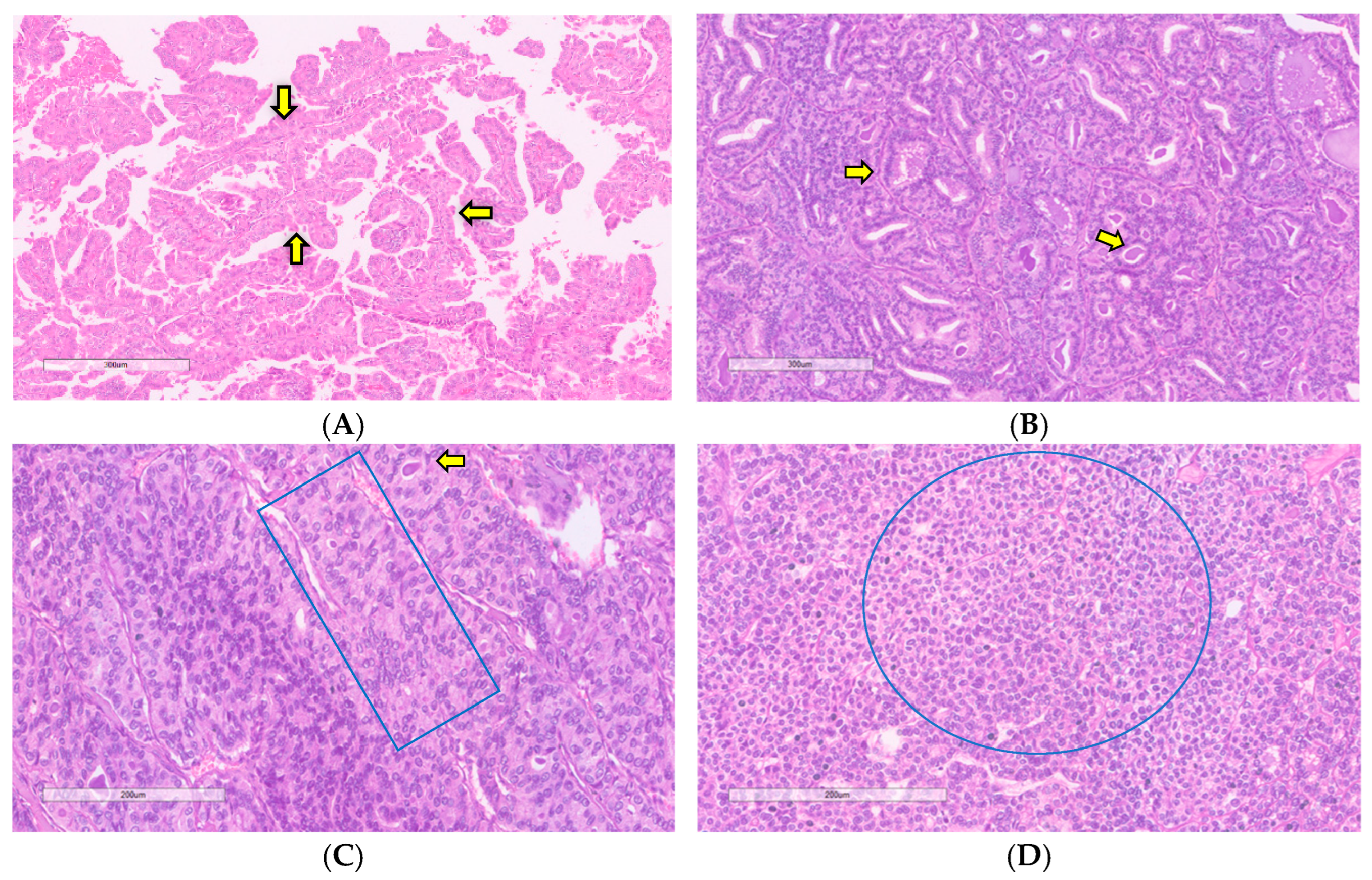 Curroncol 31 00252 g006