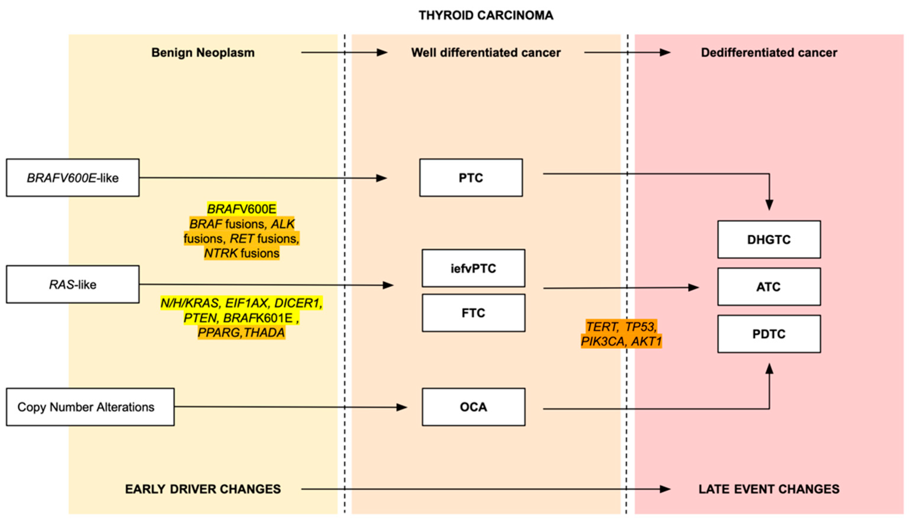 Curroncol 31 00252 g008