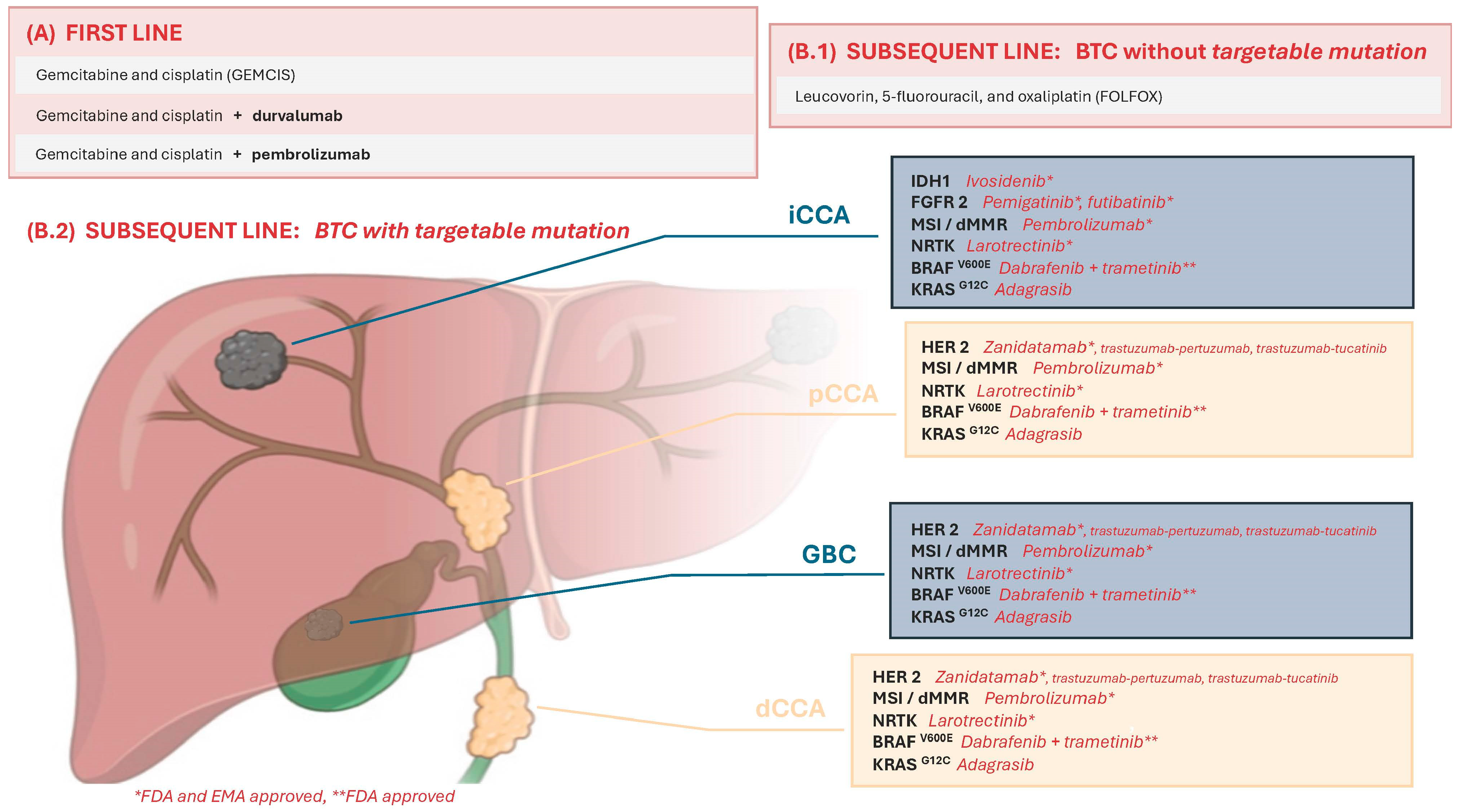 Curroncol 31 00266 g001