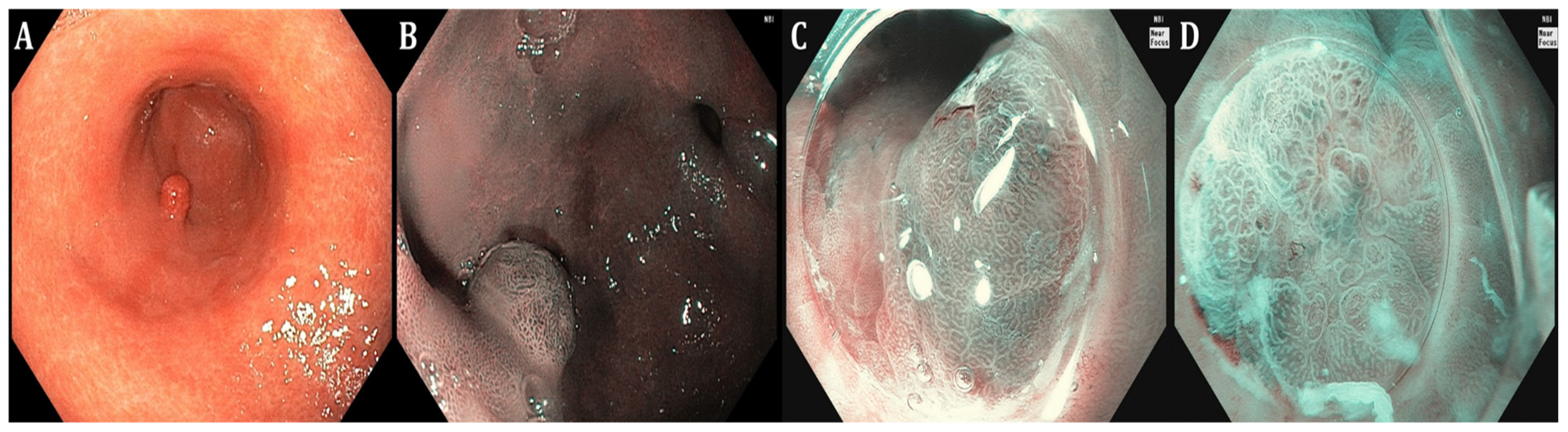 Curroncol 31 00290 g001