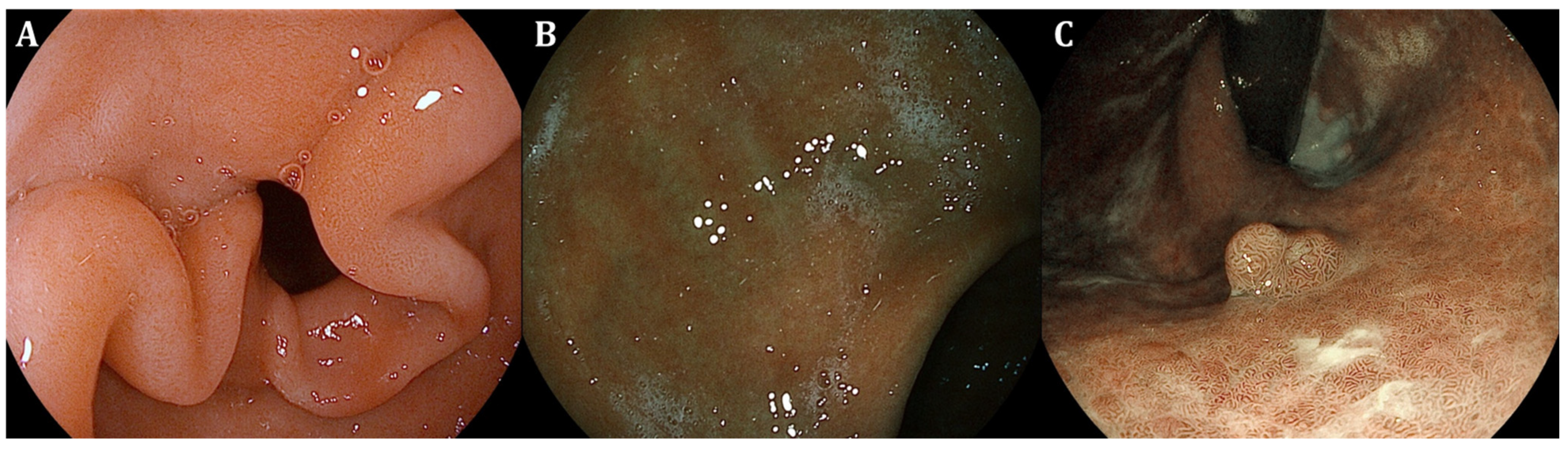 Curroncol 31 00290 g002