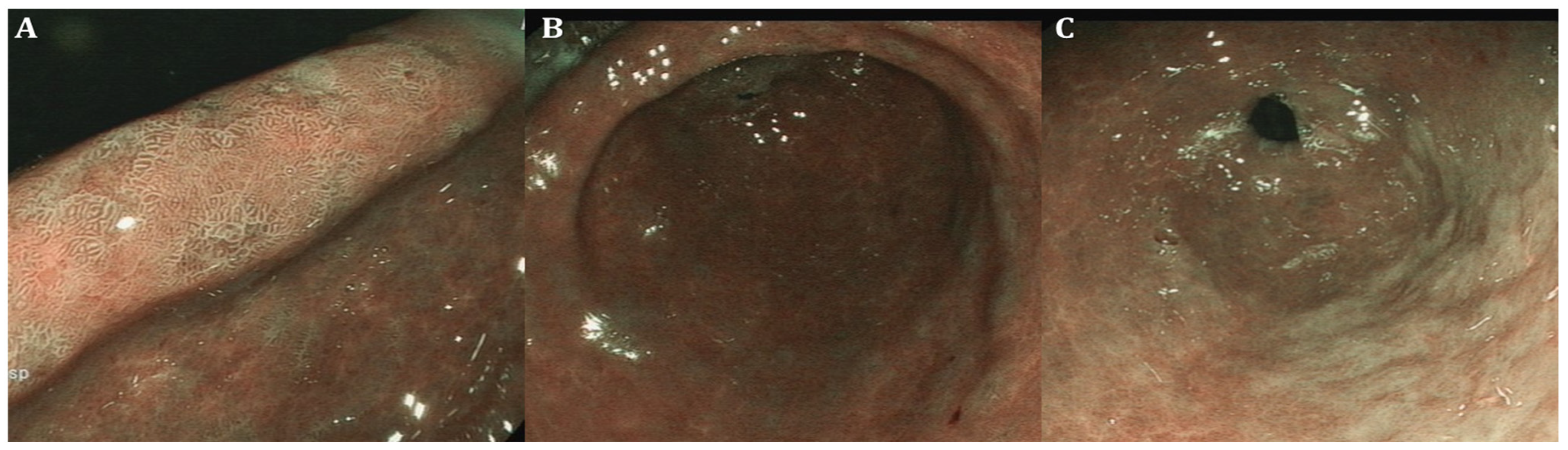 Curroncol 31 00290 g003