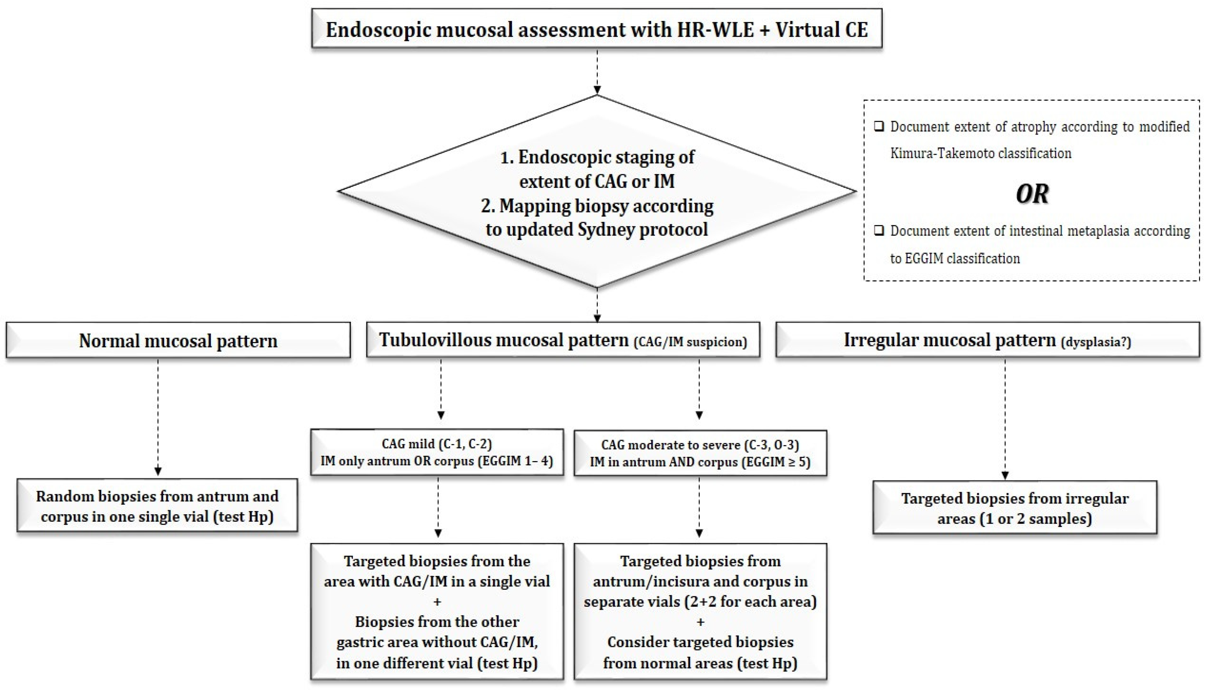 Curroncol 31 00290 g005
