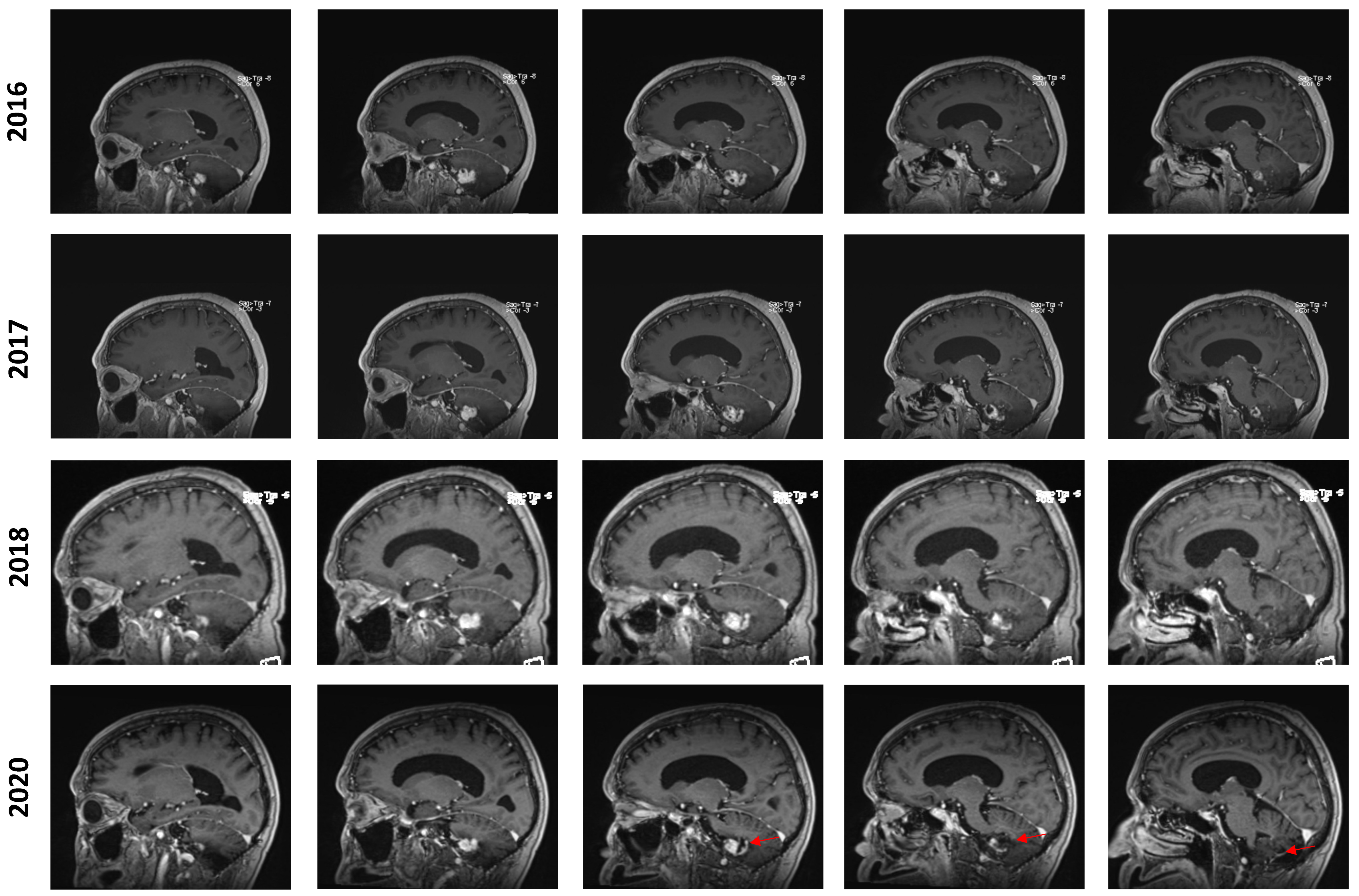 Curroncol 31 00293 g002