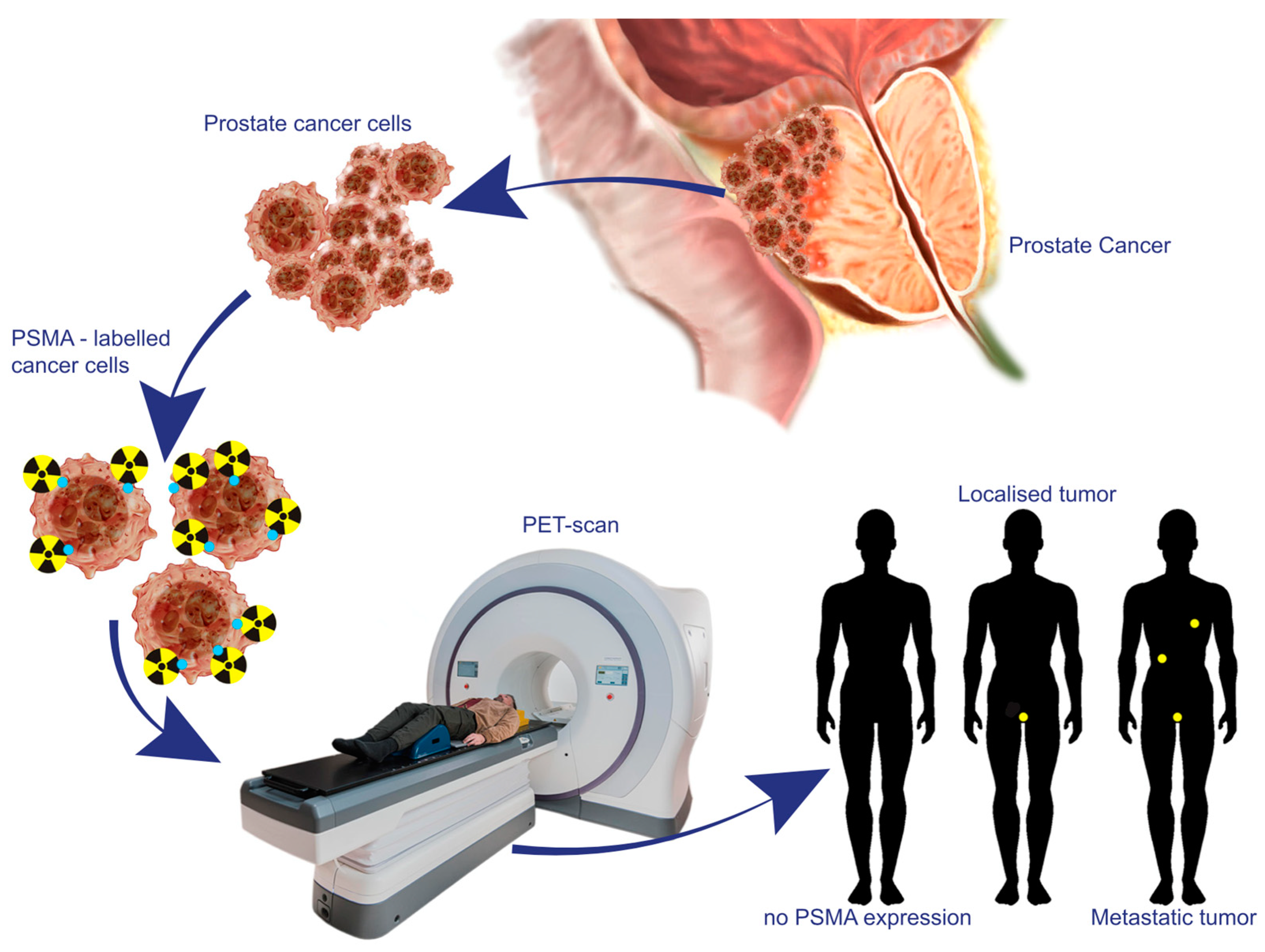 Curroncol 31 00311 g003
