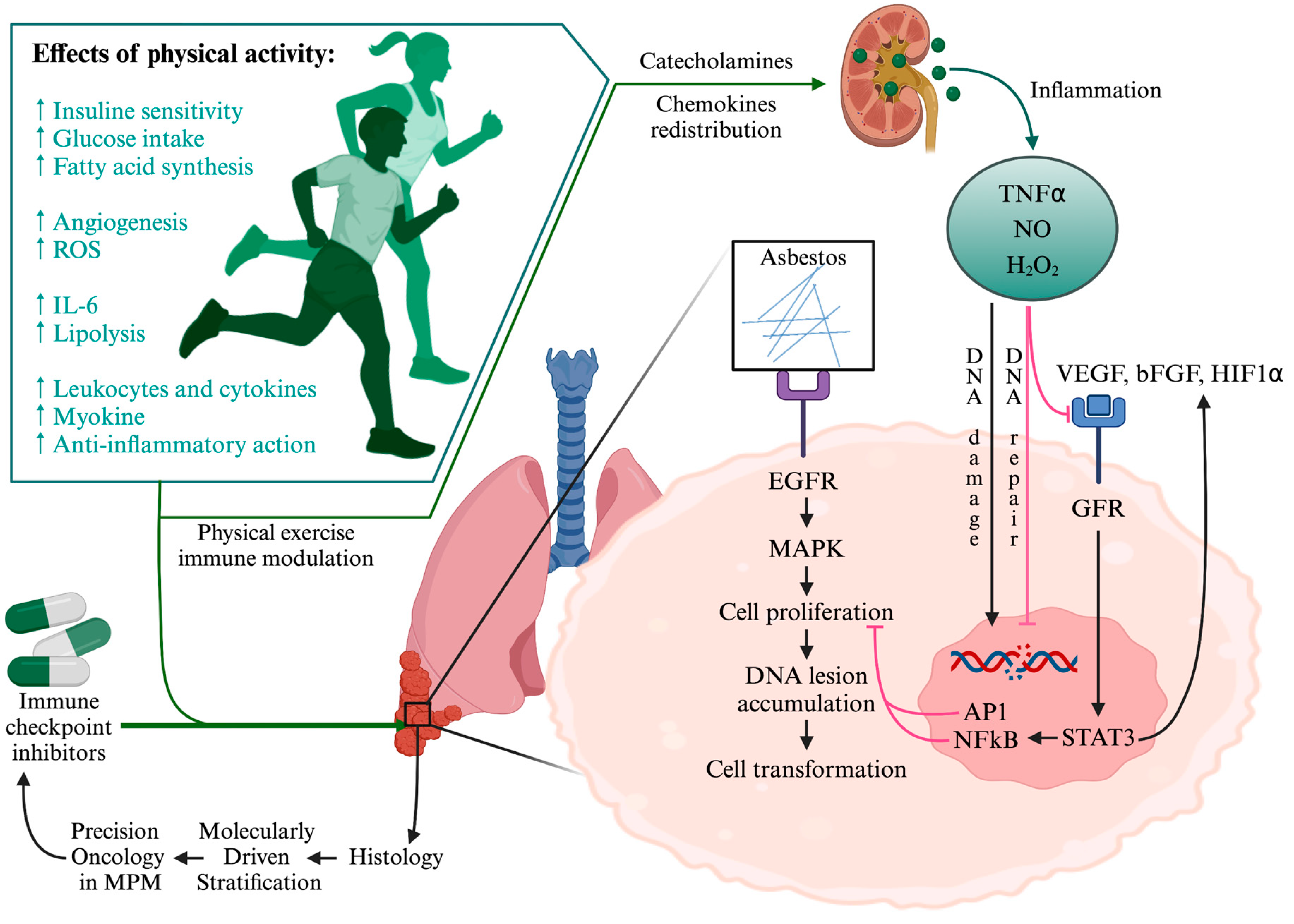 Curroncol 31 00322 g003 Curroncol 31 00322 g003