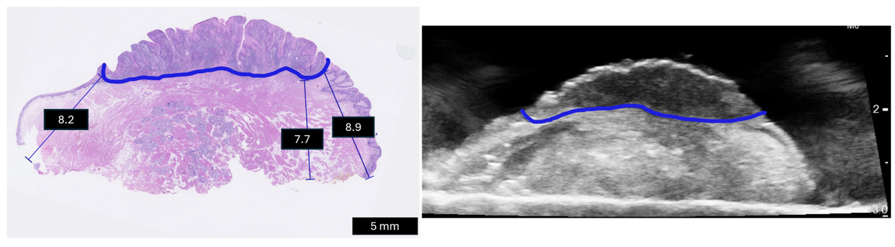 Curroncol 31 00330 g004