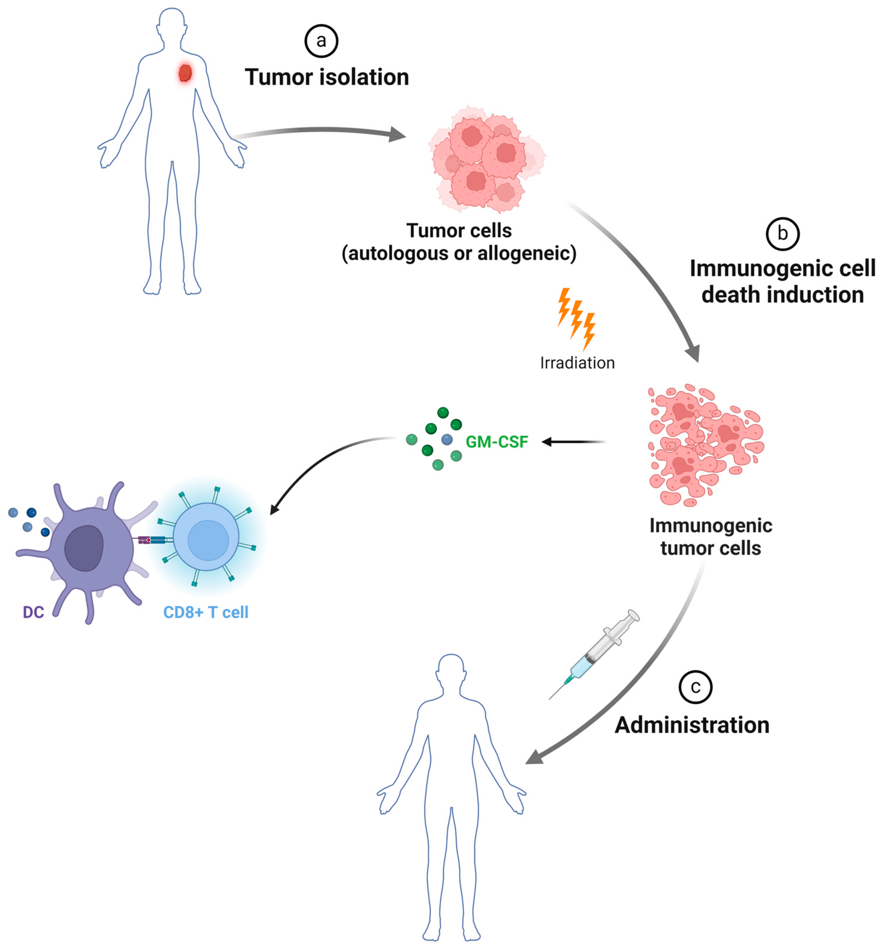 Curroncol 31 00361 g002