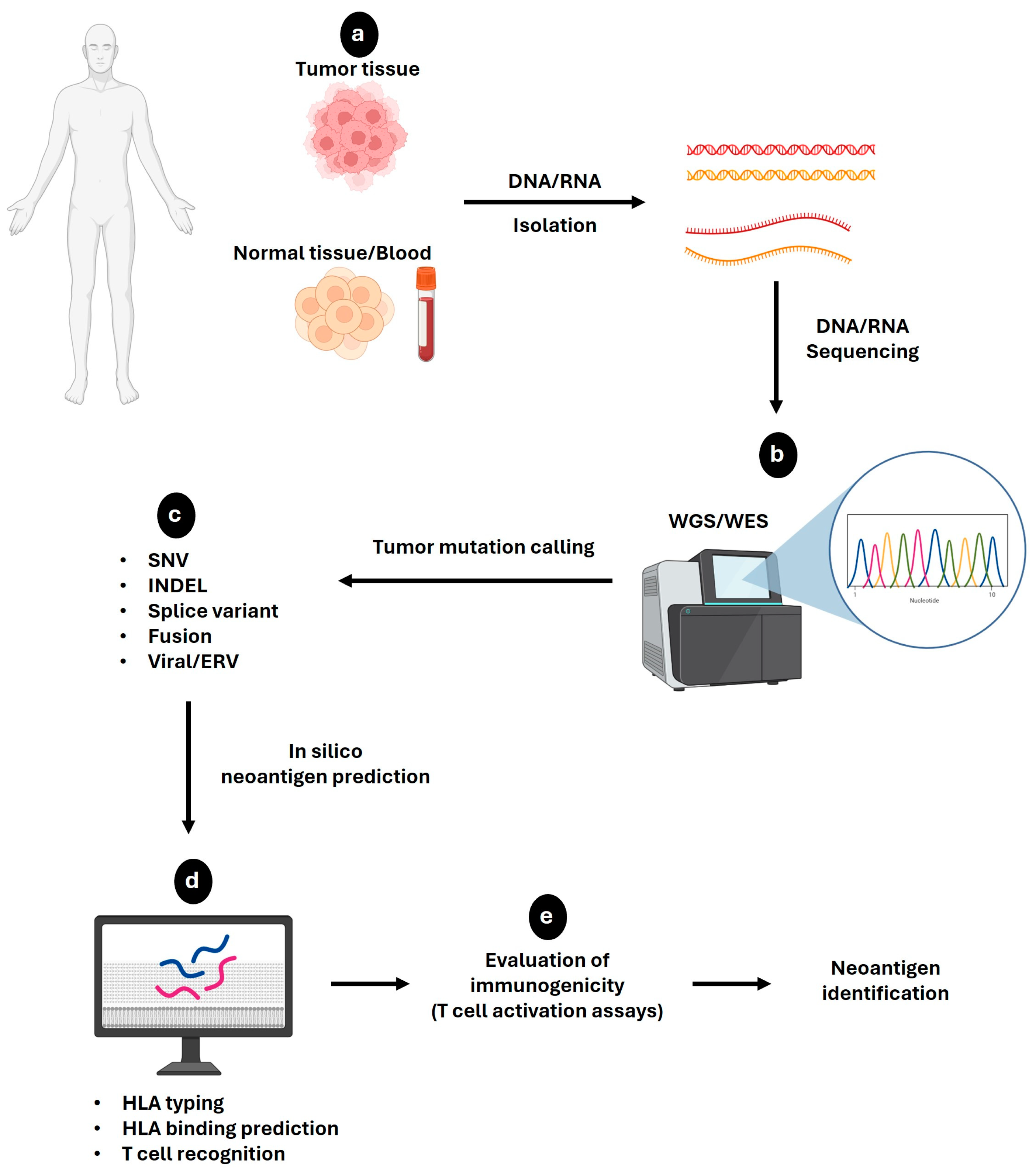 Curroncol 31 00361 g003
