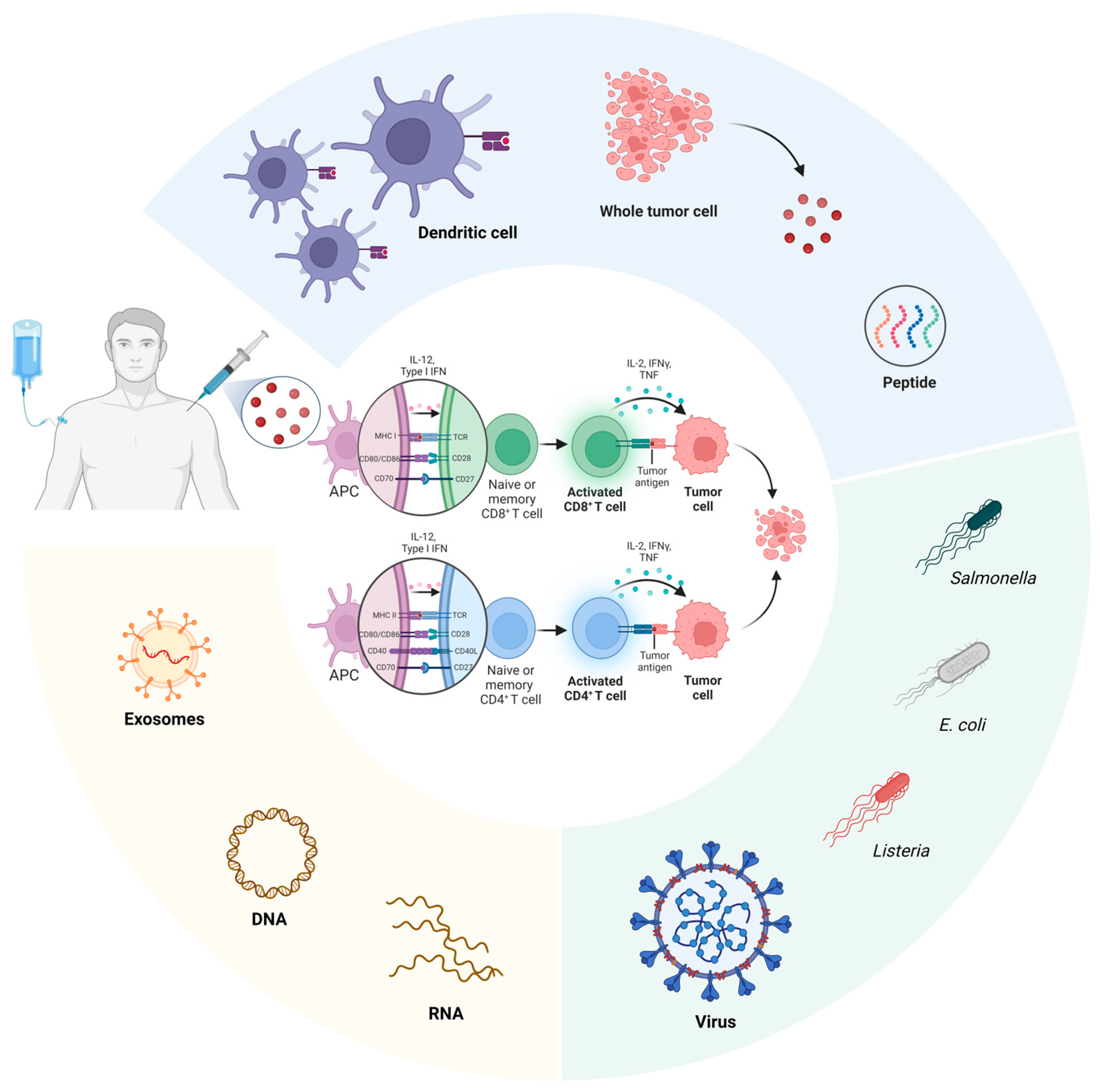 Curroncol 31 00361 g004