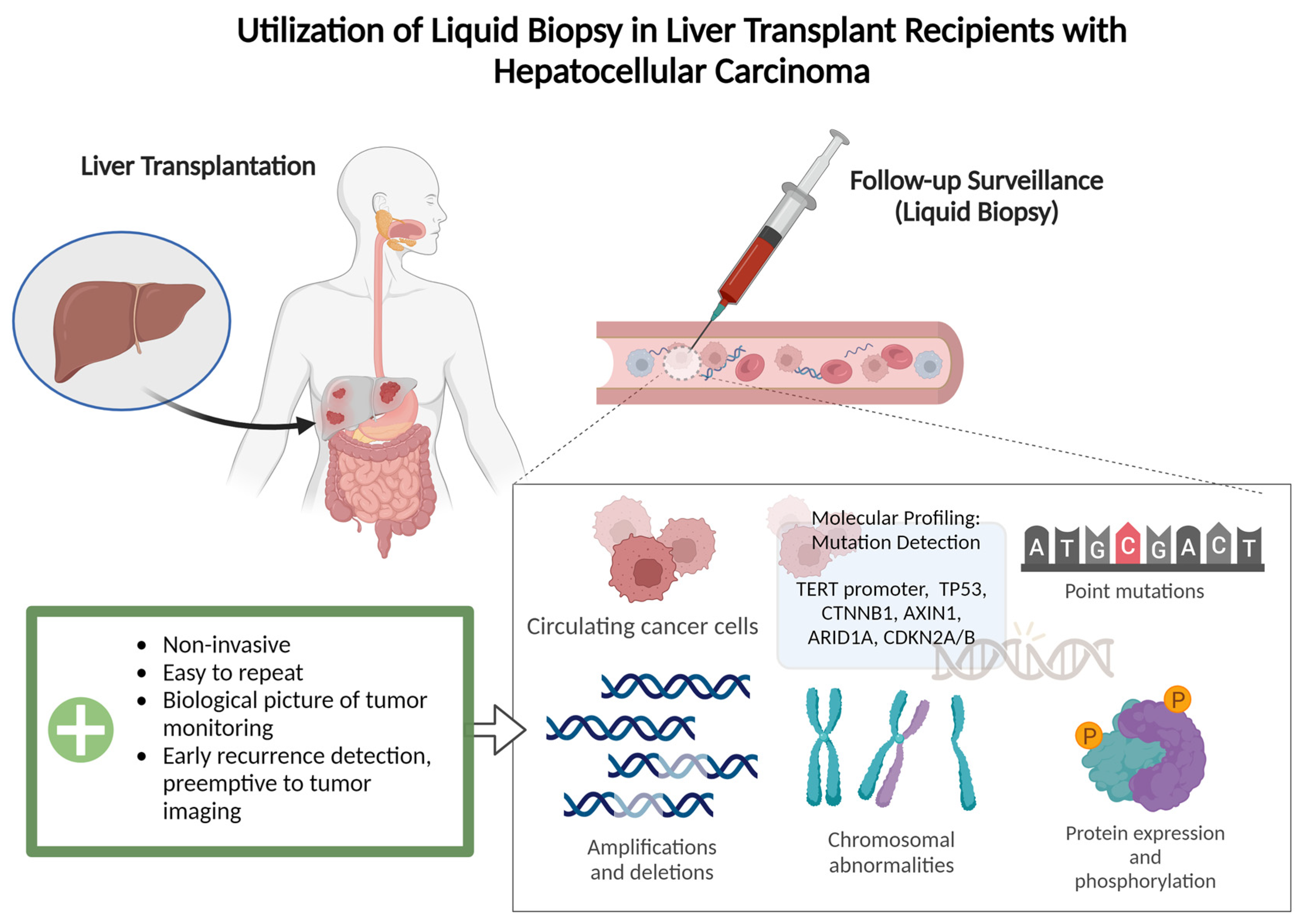 Curroncol 31 00371 g001