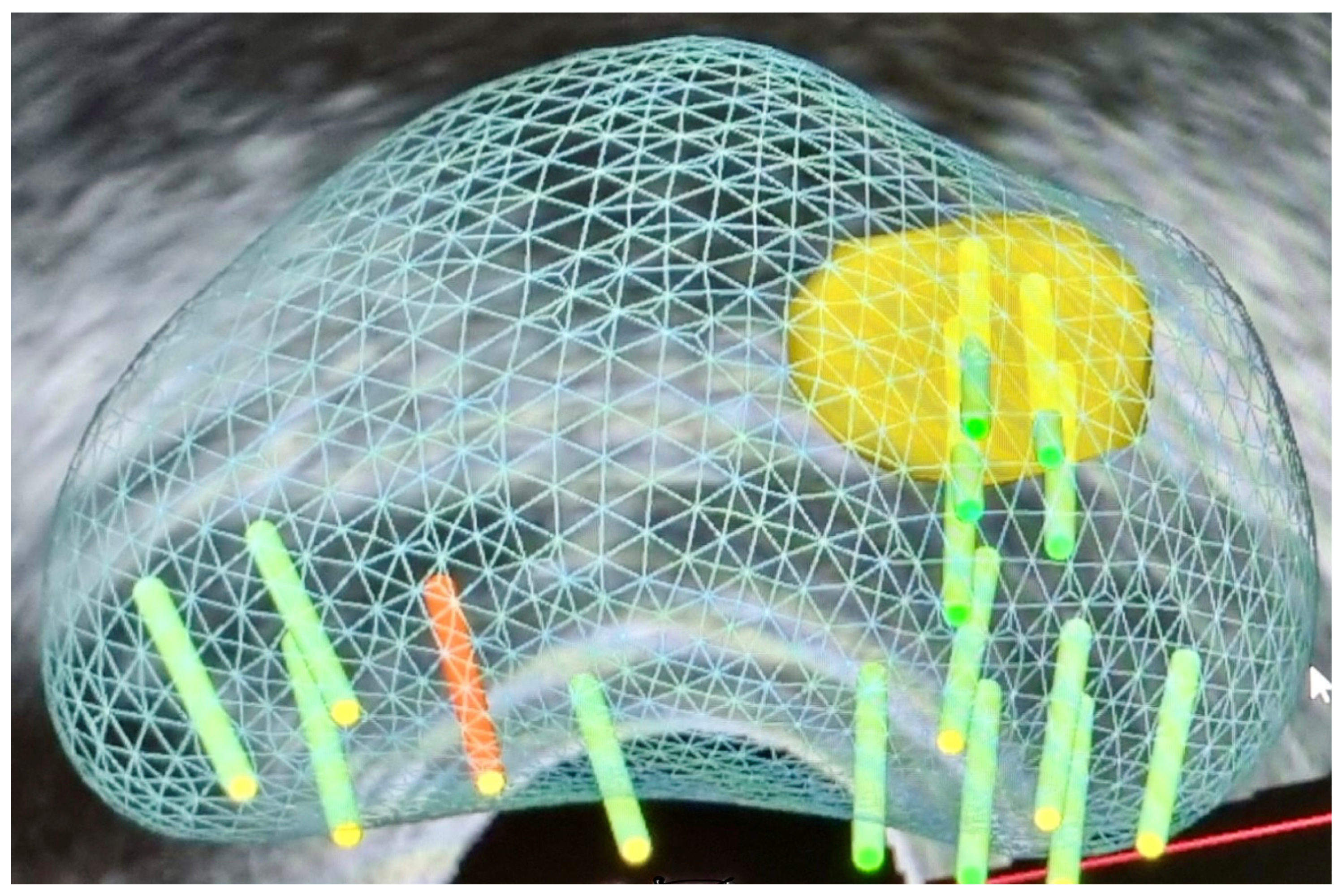 Curroncol 31 00383 g002