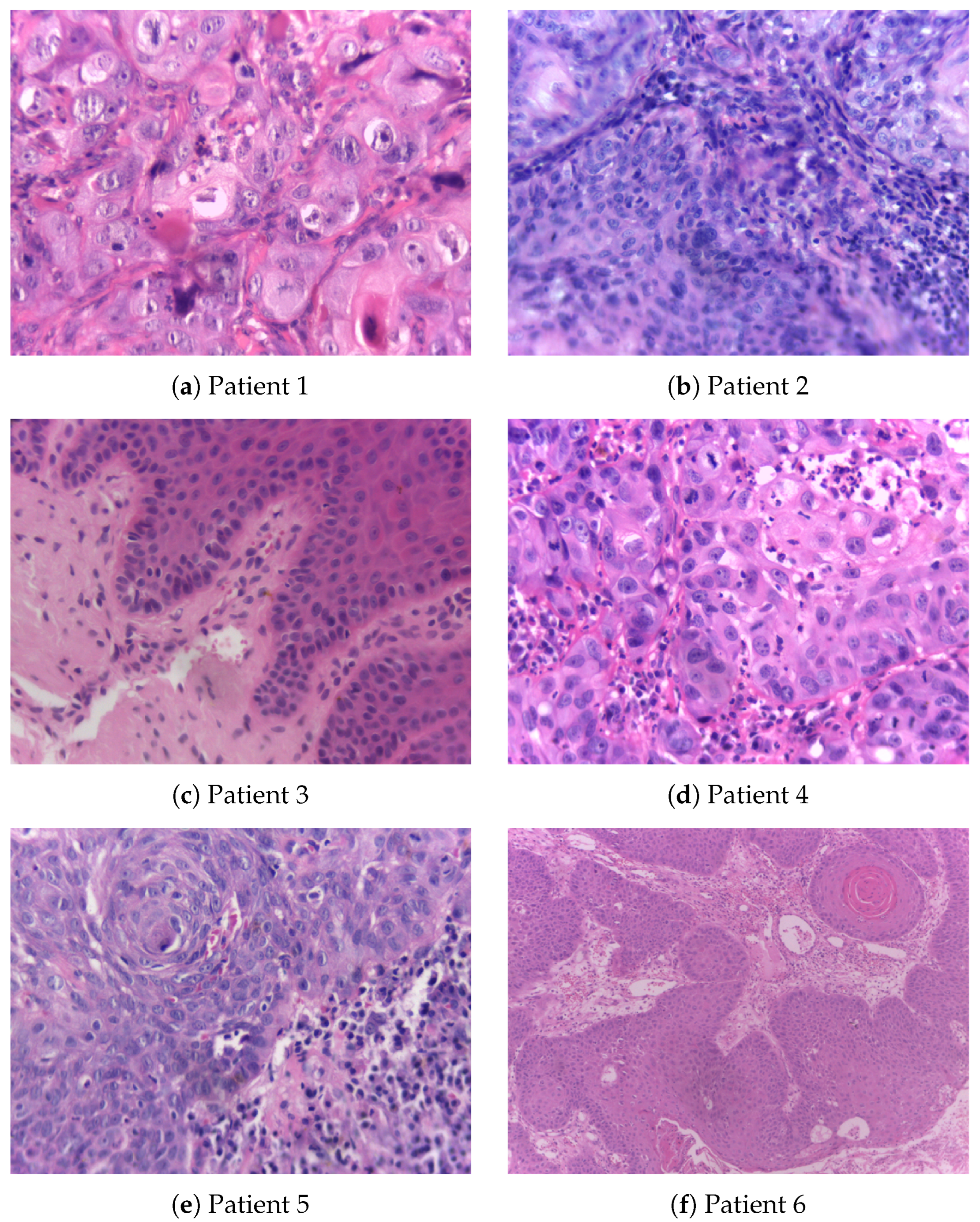 Curroncol 31 00389 g002