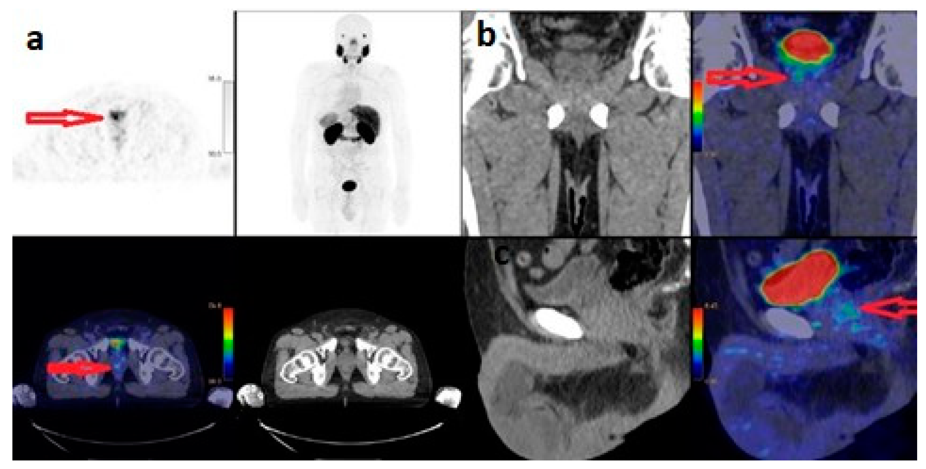 Curroncol 31 00391 g002