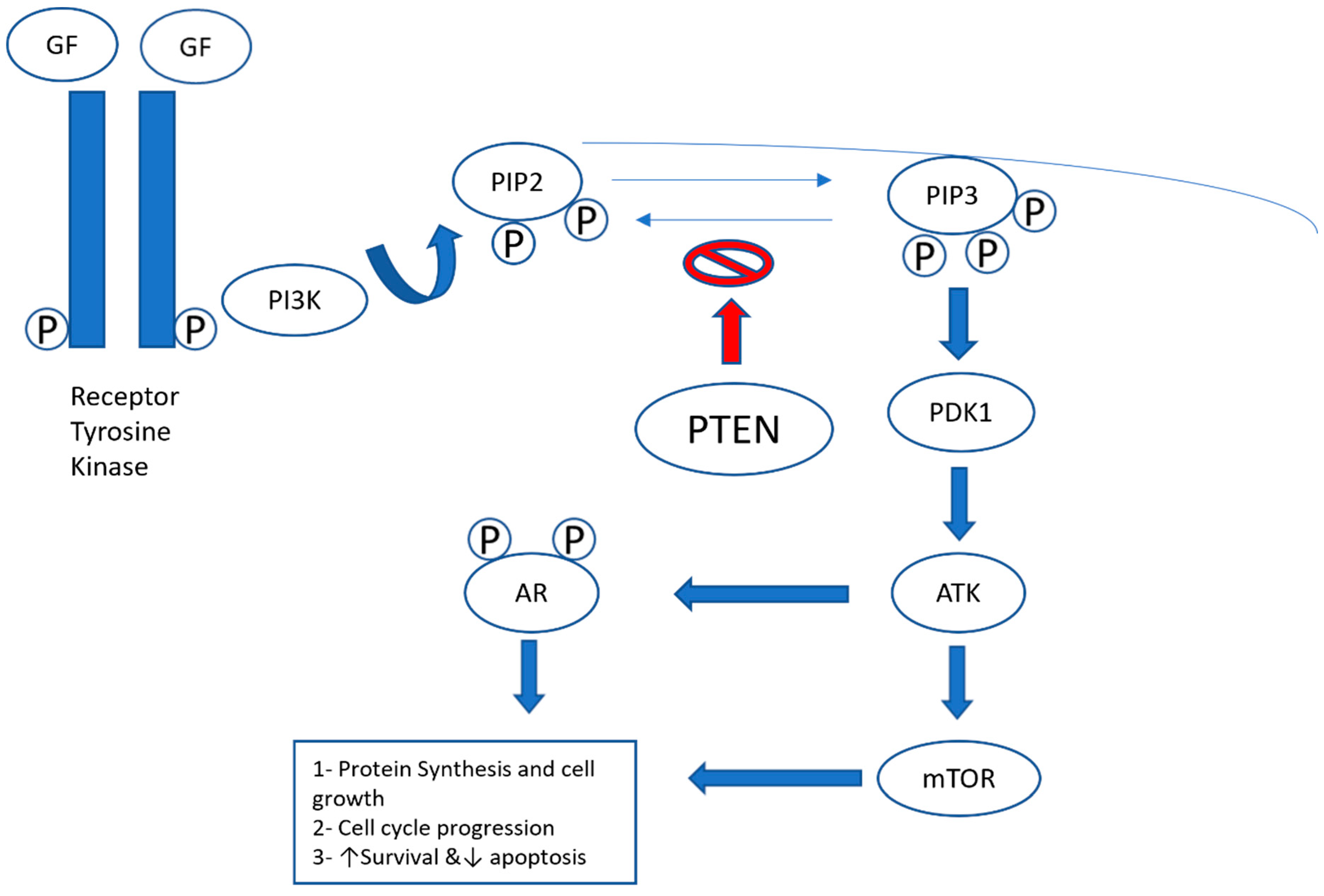 Curroncol 31 00397 g004