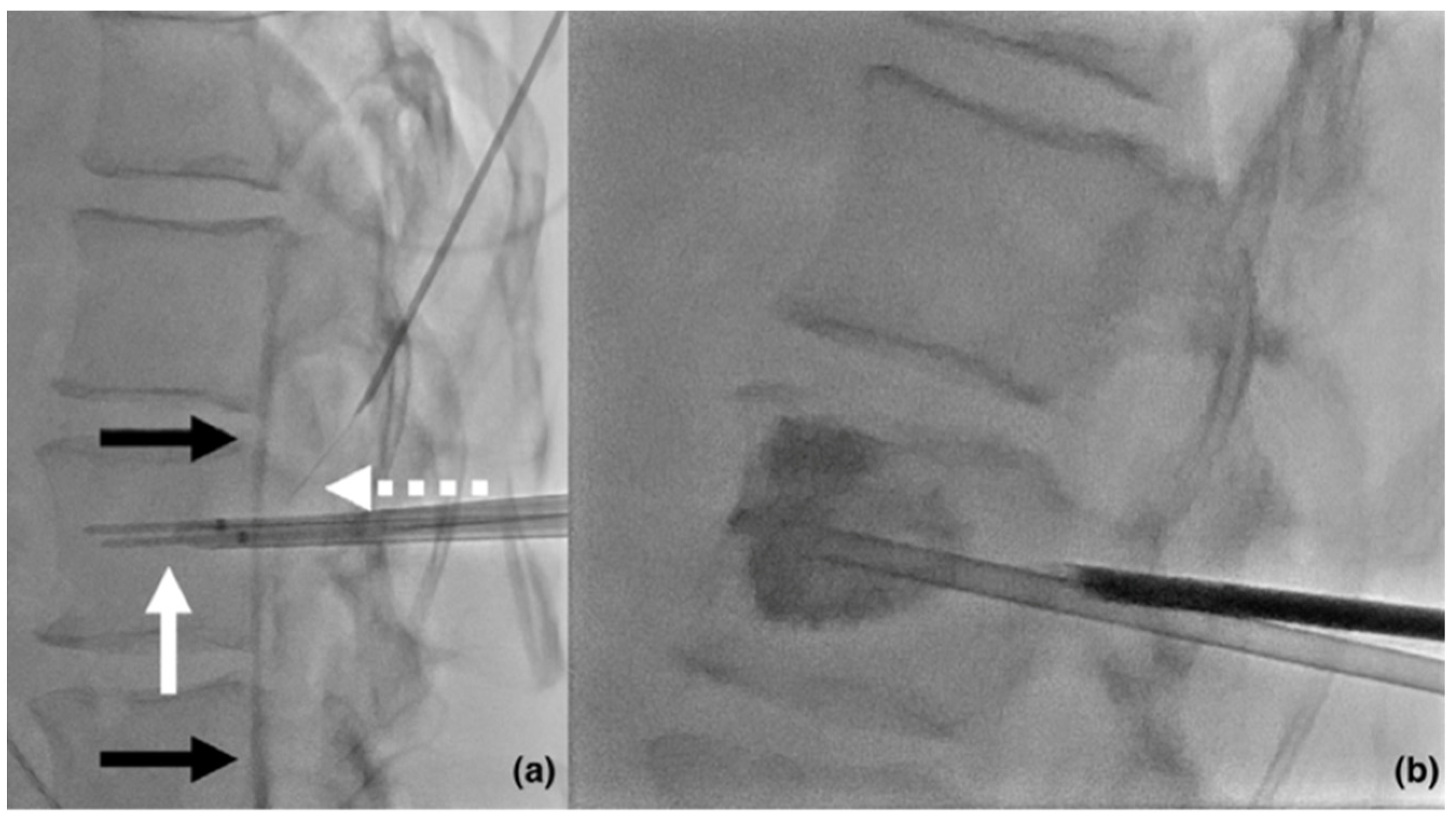 Curroncol 31 00401 g002