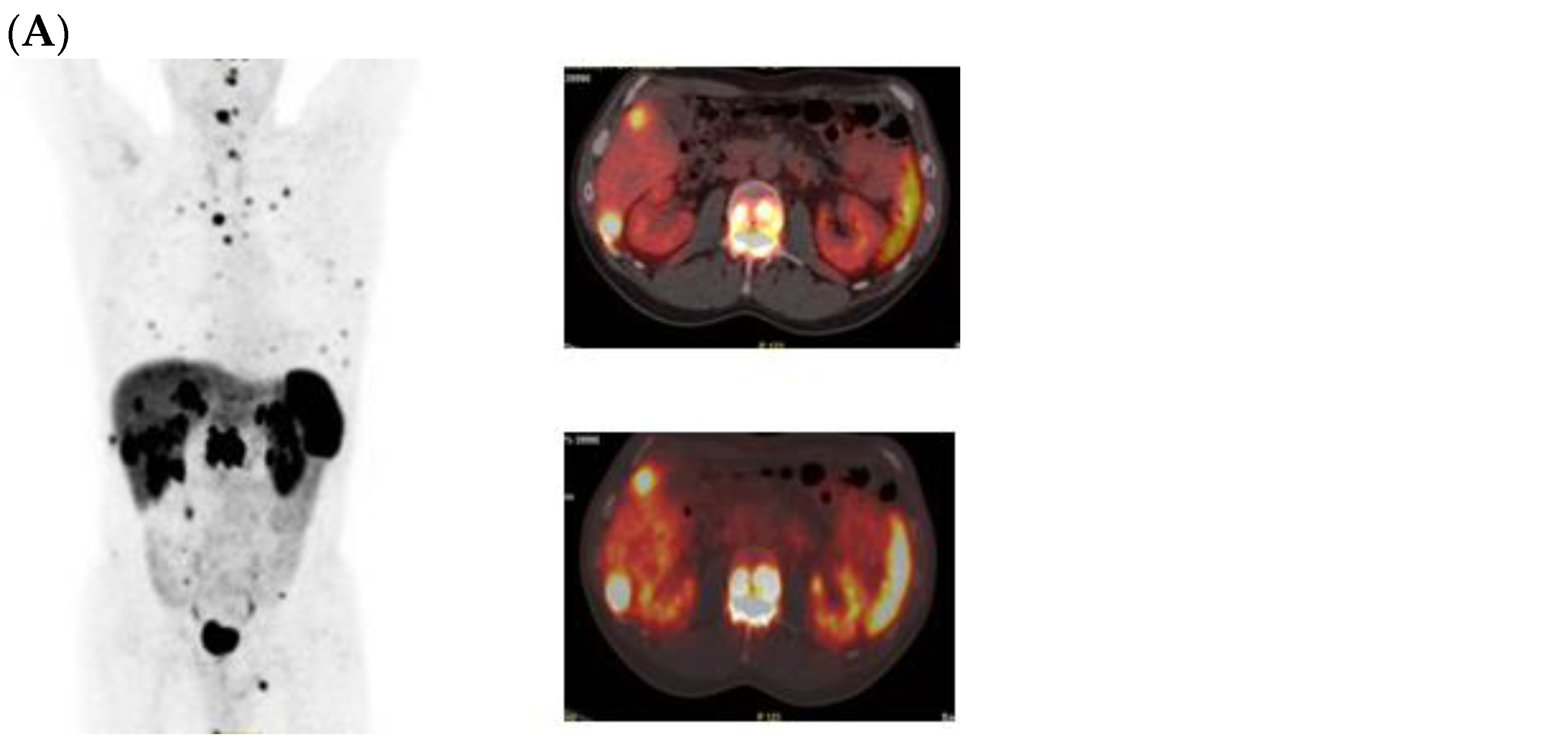 Curroncol 31 00416 g004a