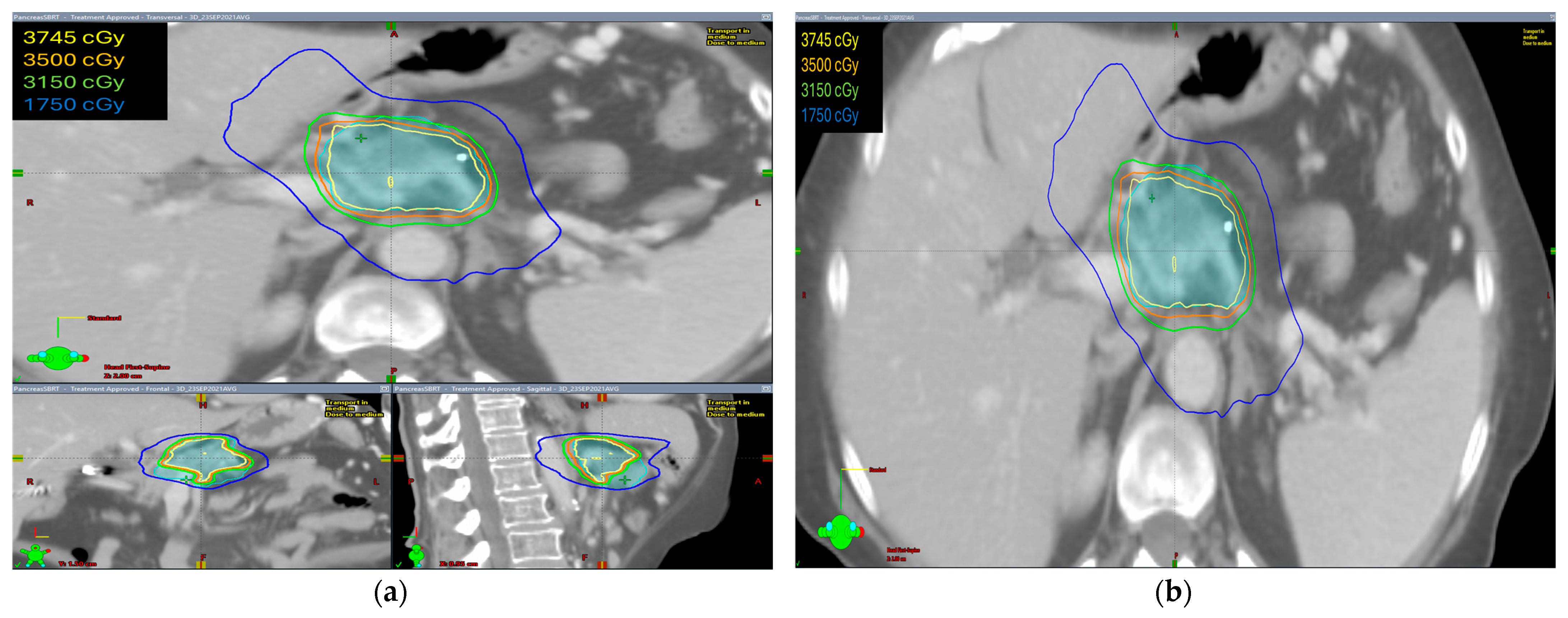 Curroncol 31 00446 g001