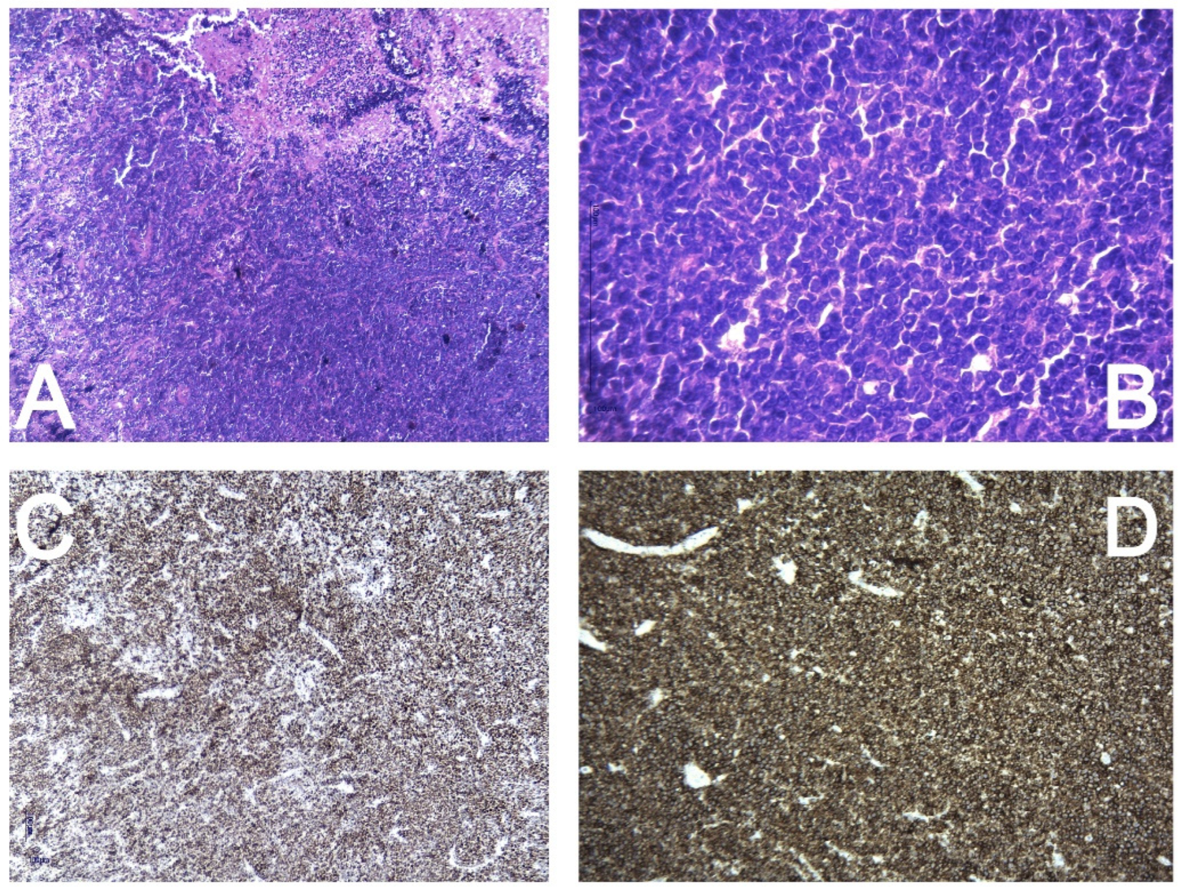 Curroncol 31 00491 g007