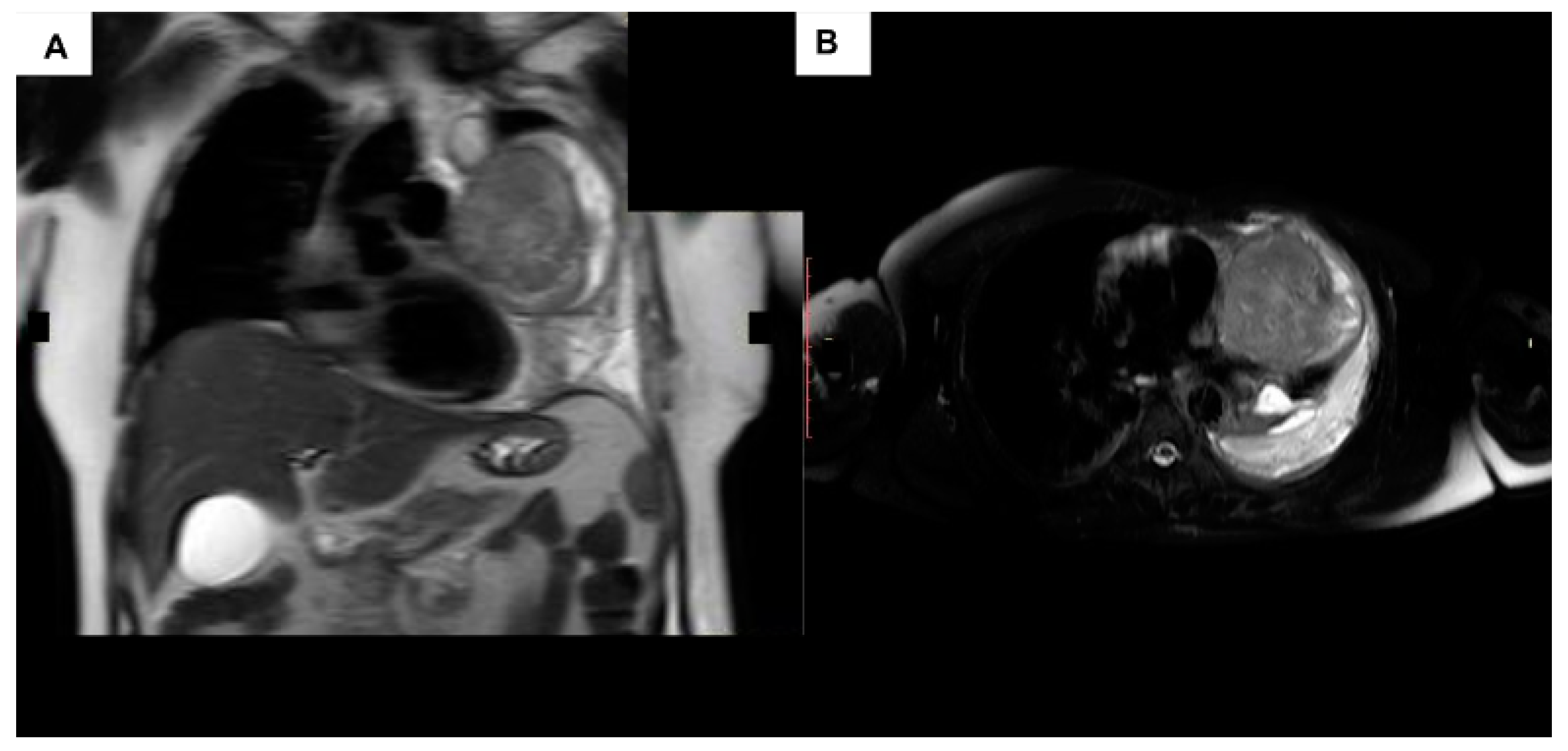 Curroncol 31 00510 g004