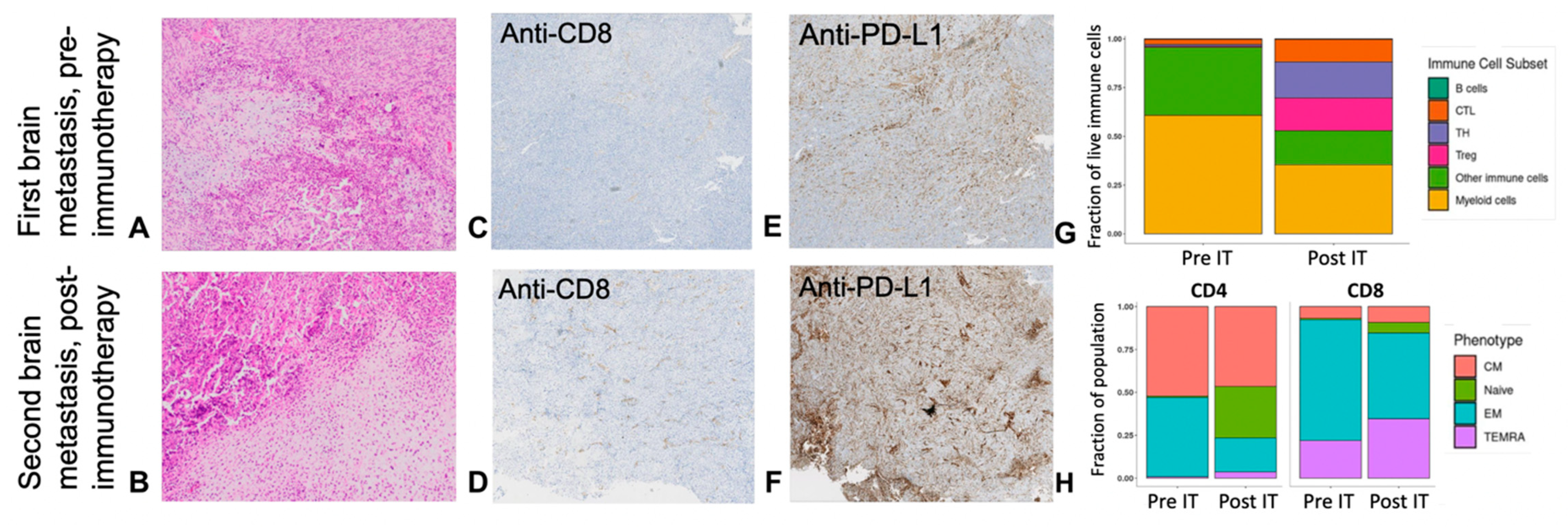 Curroncol 31 00516 g003