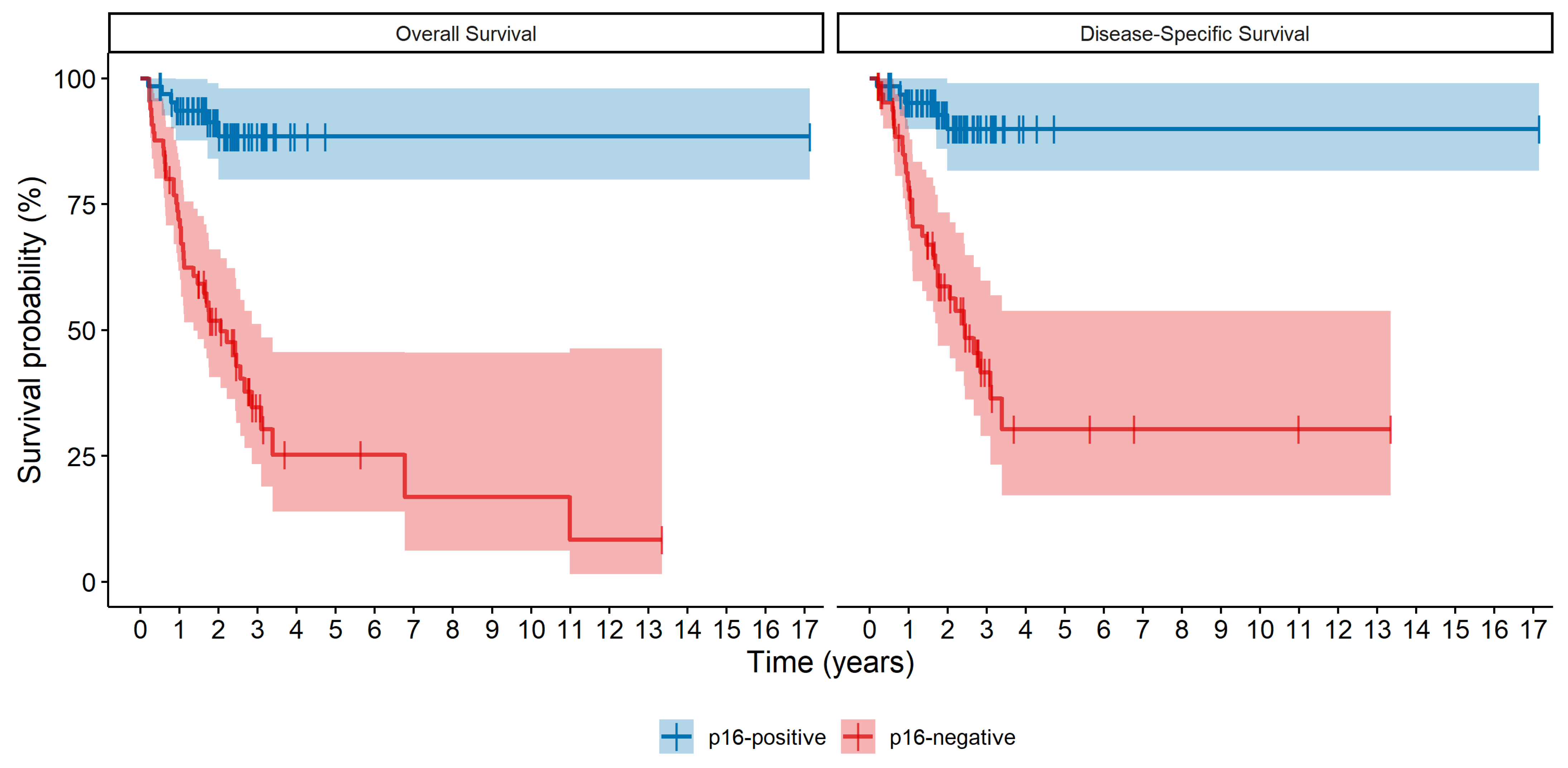 Curroncol 31 00521 g001