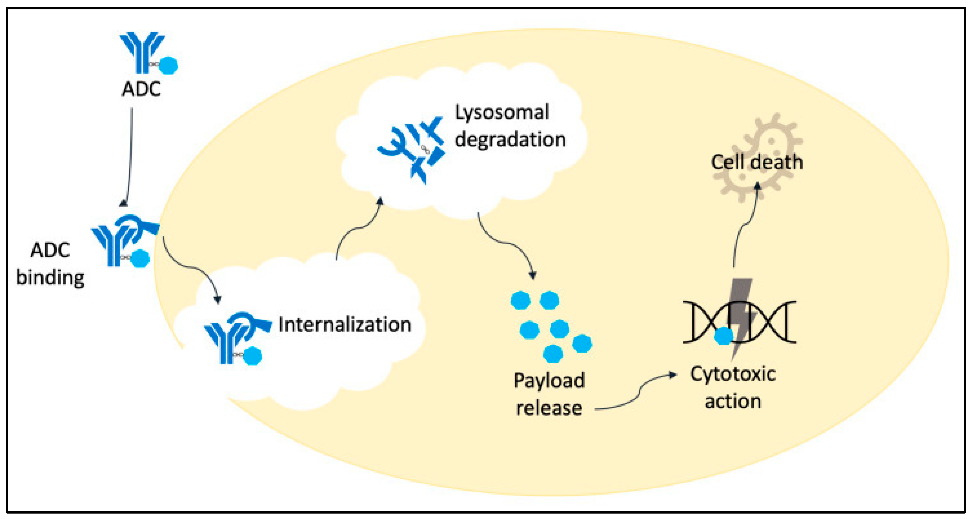 Curroncol 31 00522 g002
