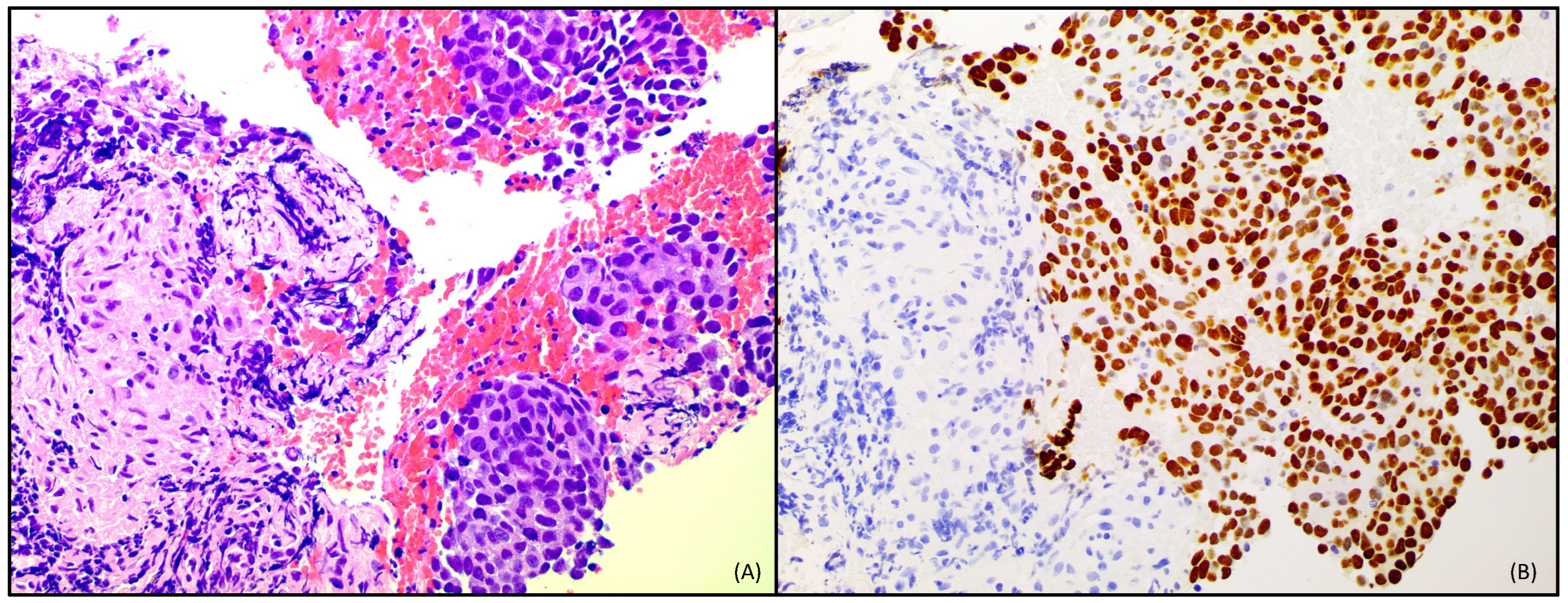 Curroncol 31 00540 g004
