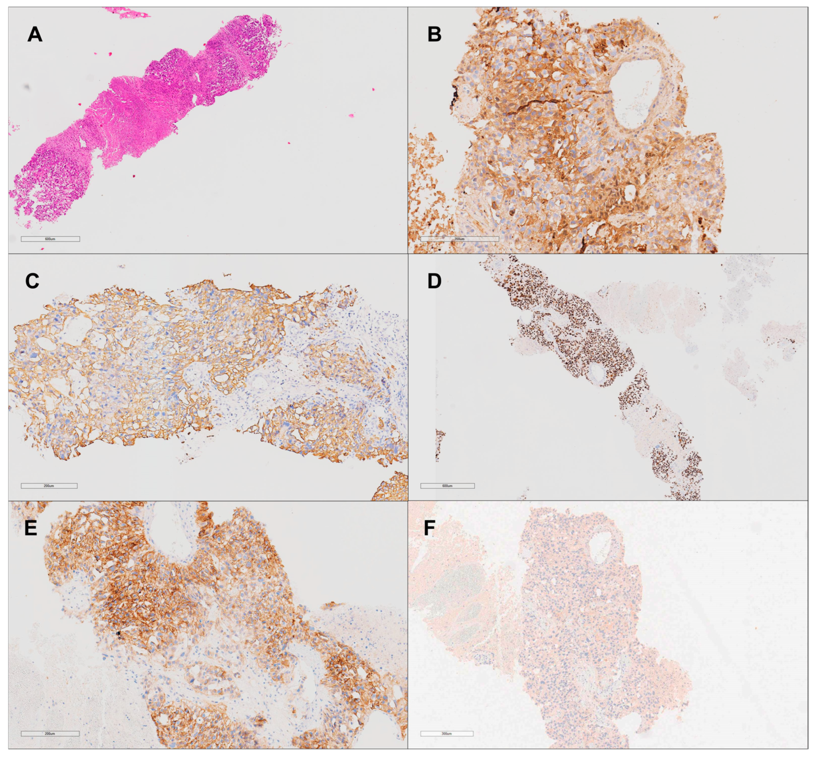 Curroncol 31 00551 g005