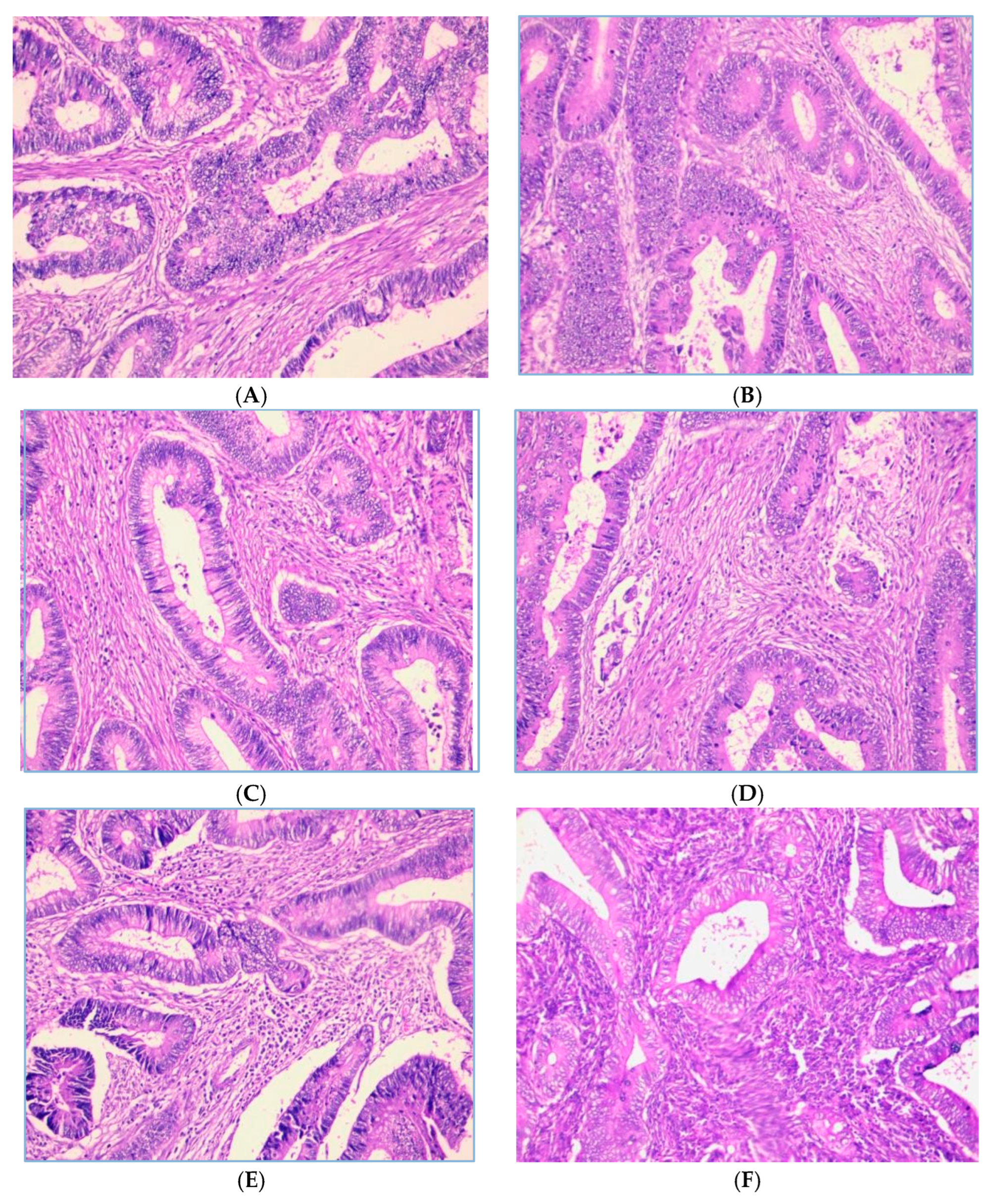 Curroncol 31 00552 g001