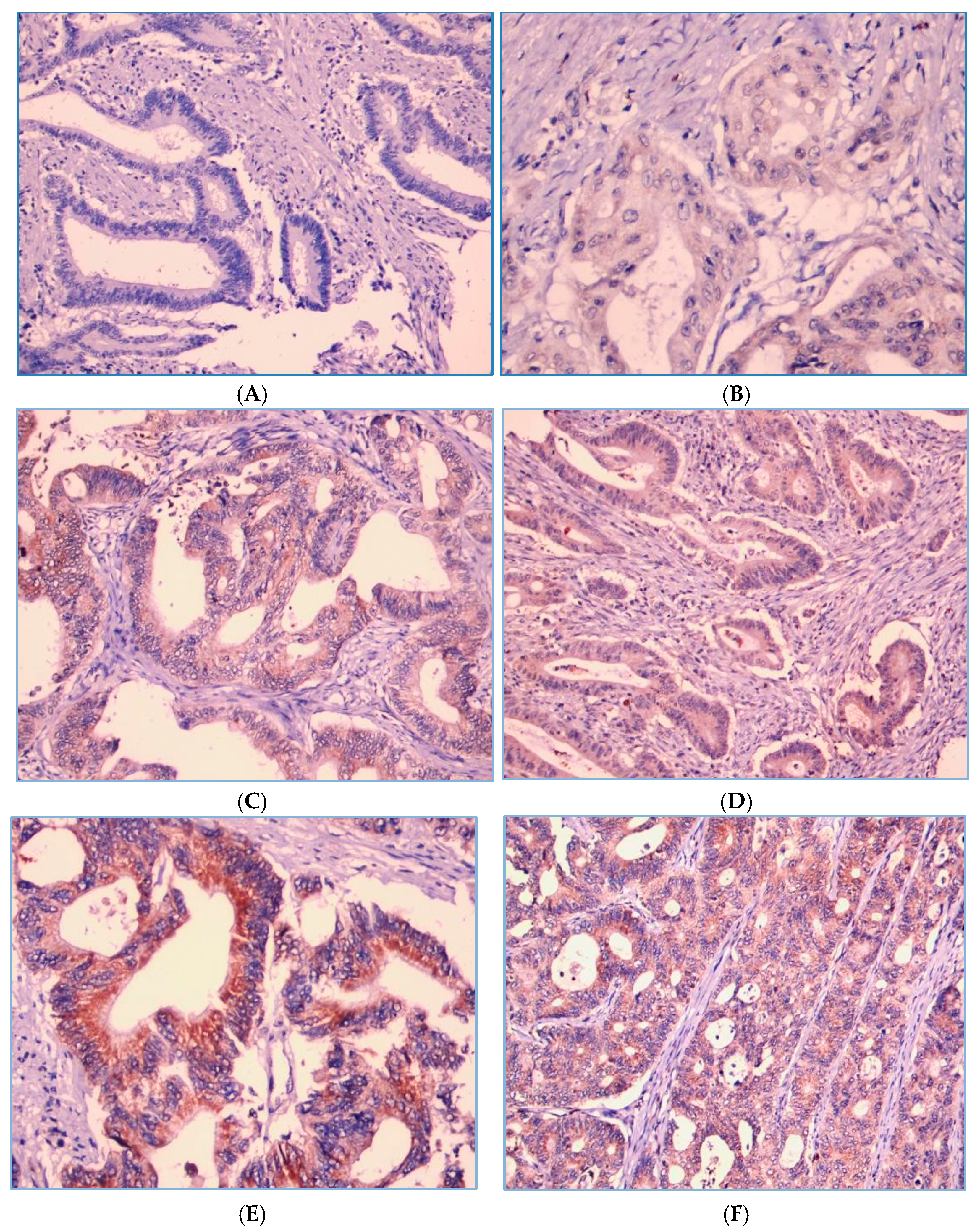 Curroncol 31 00552 g003