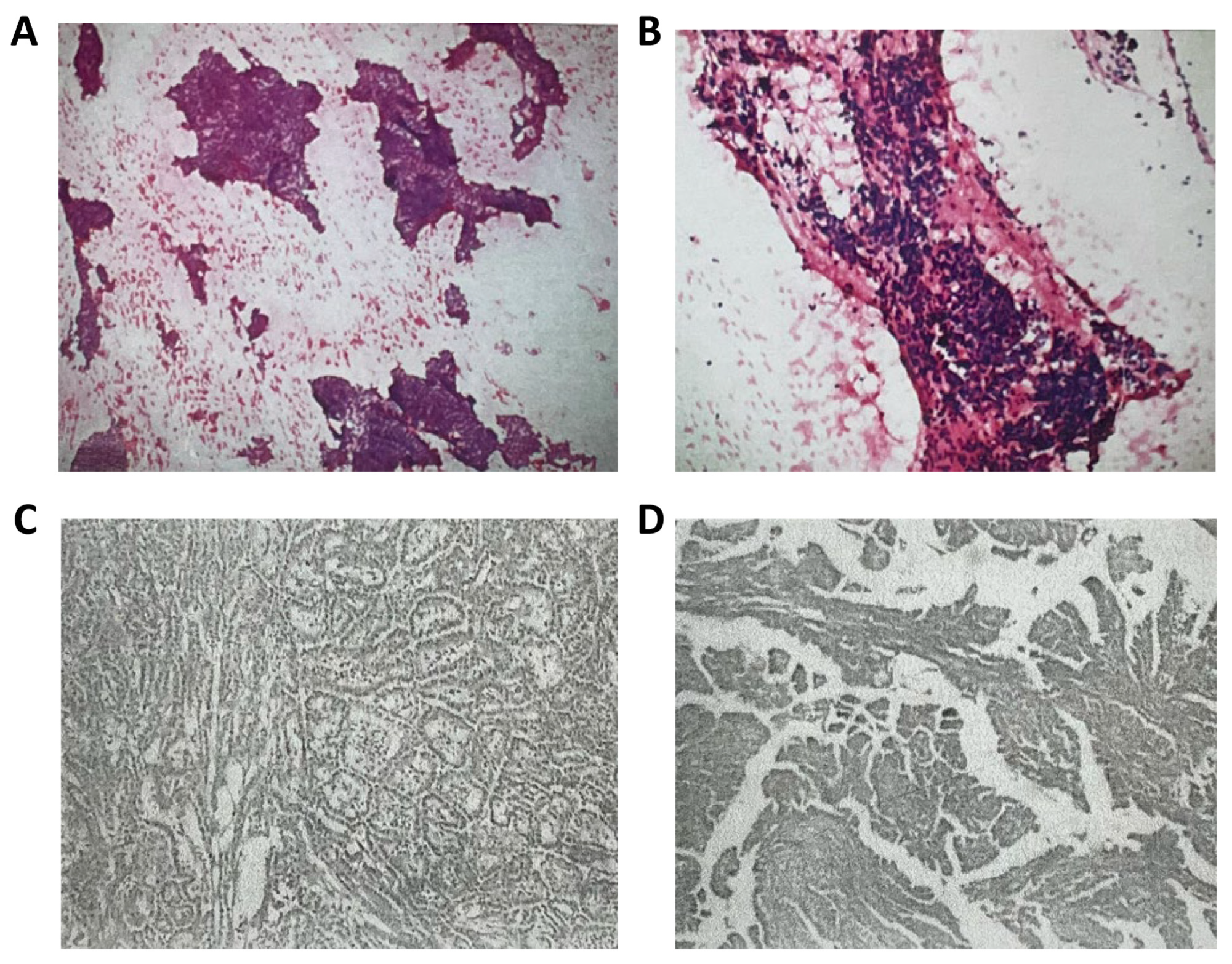 Curroncol 31 00556 g001