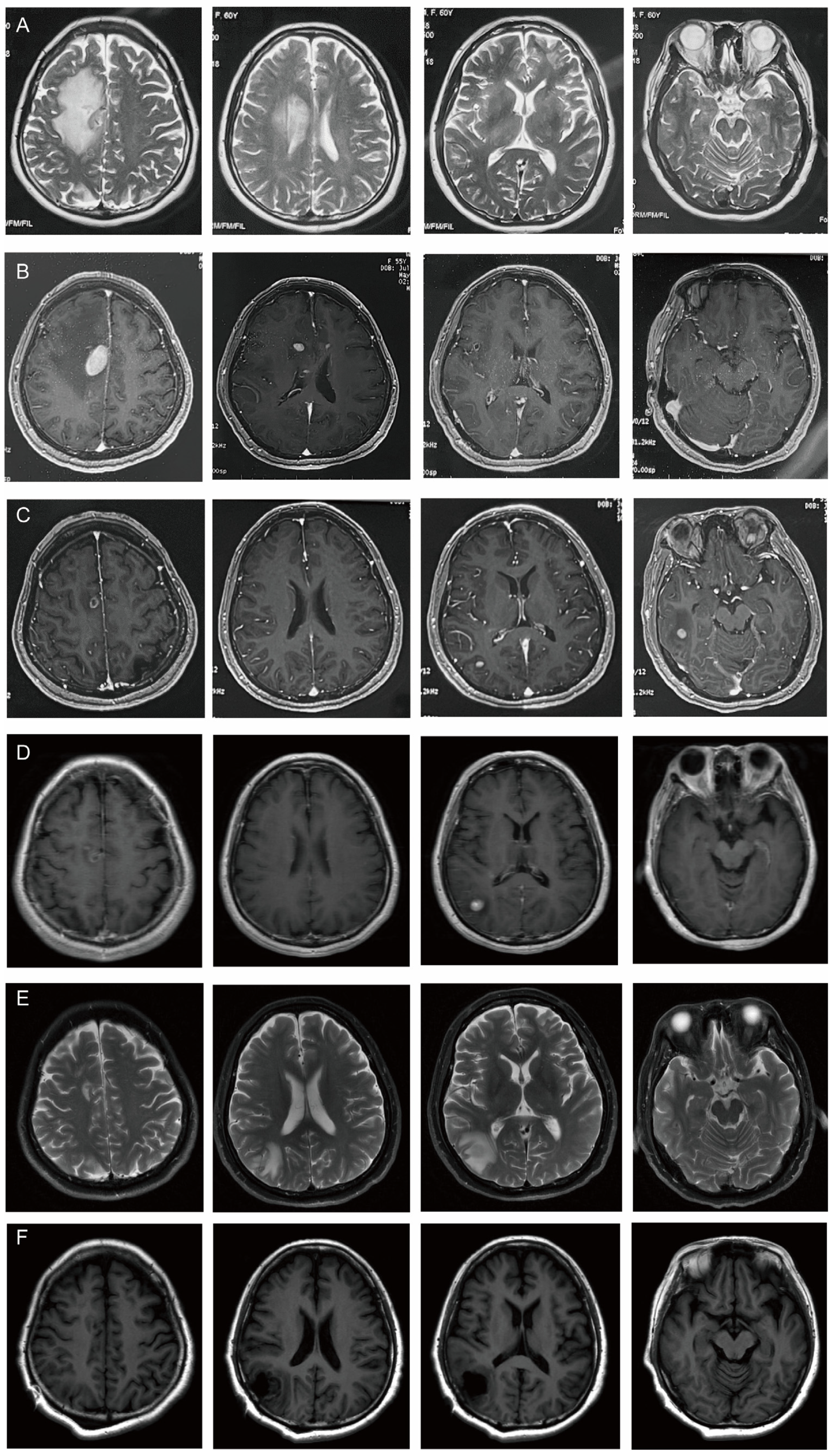 Curroncol 31 00556 g002