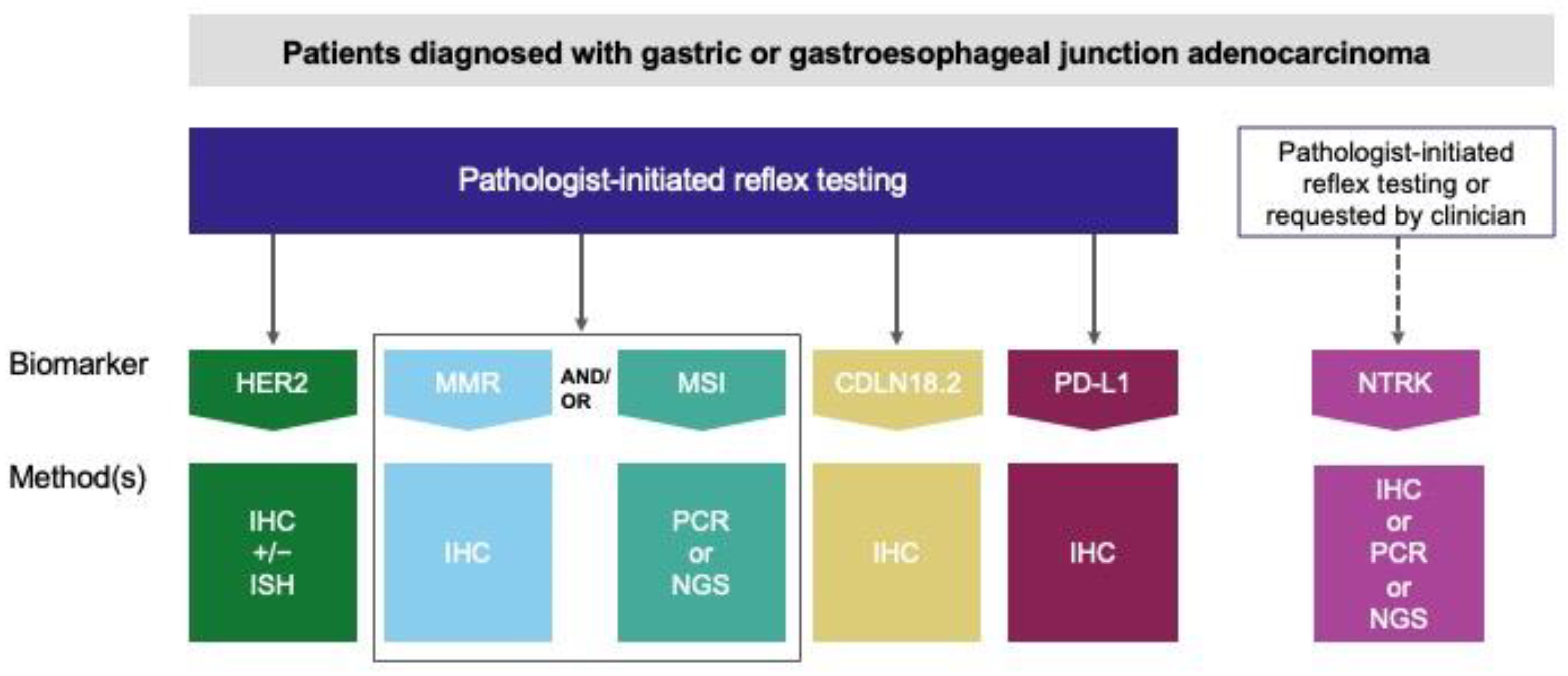 Curroncol 31 00572 g001