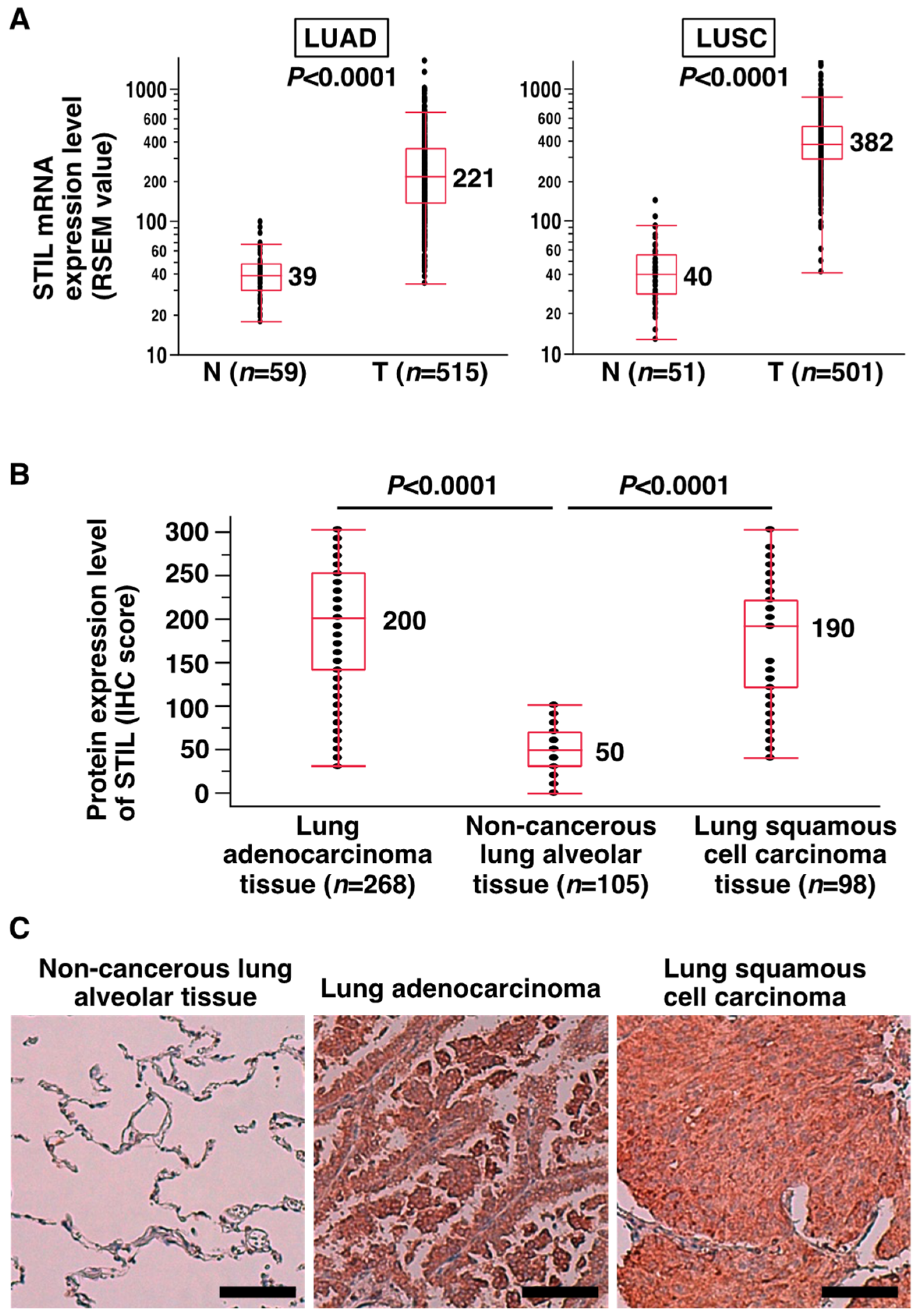 Curroncol 31 00585 g001 Curroncol 31 00585 g001