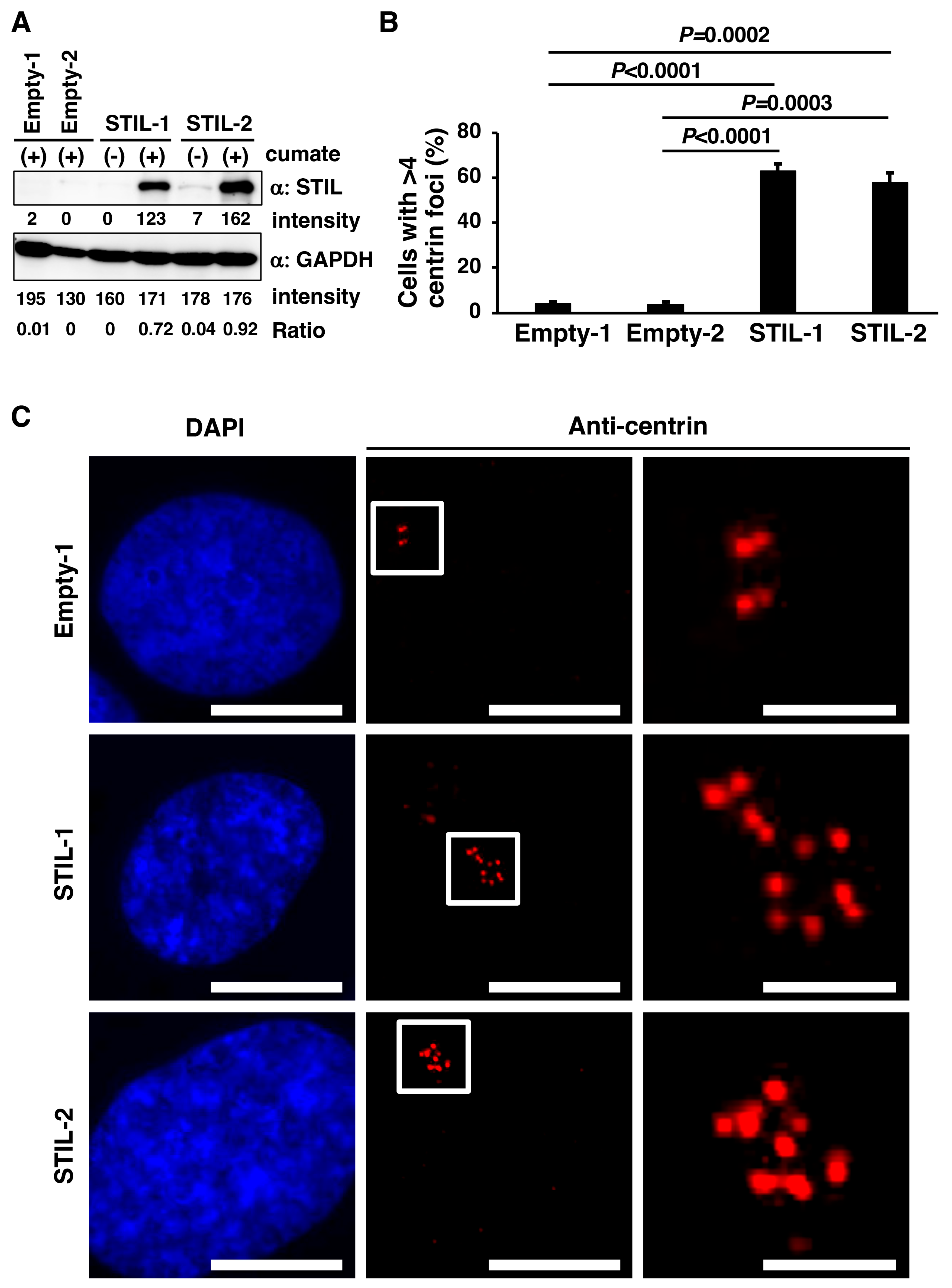 Curroncol 31 00585 g002 Curroncol 31 00585 g002