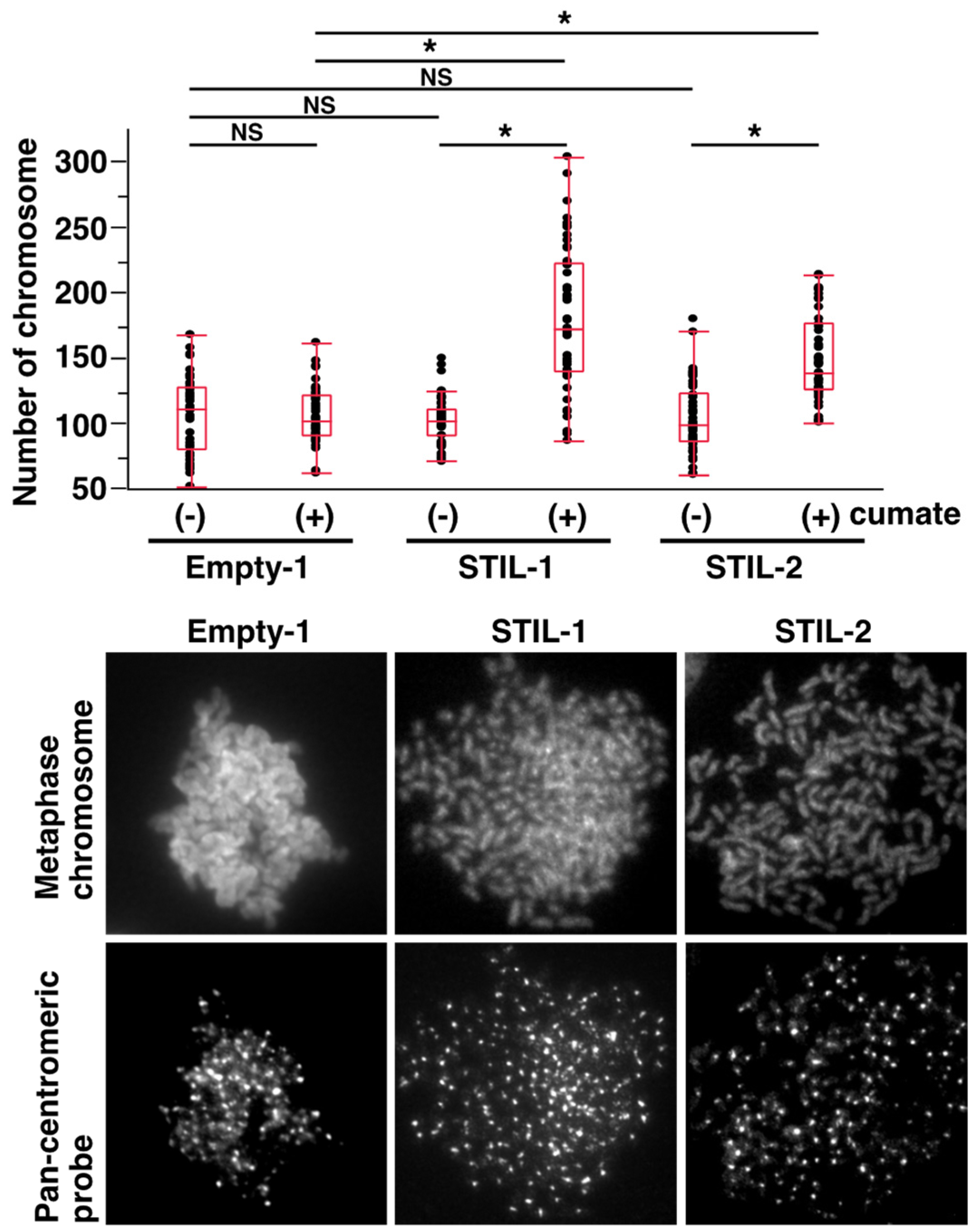 Curroncol 31 00585 g003 Curroncol 31 00585 g003