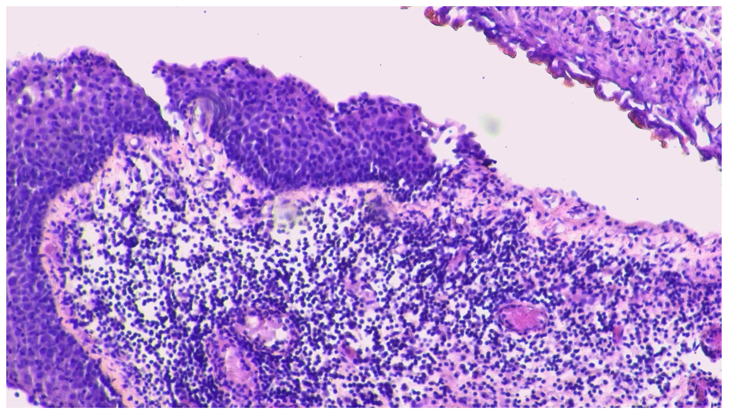 Curroncol 31 00598 g004