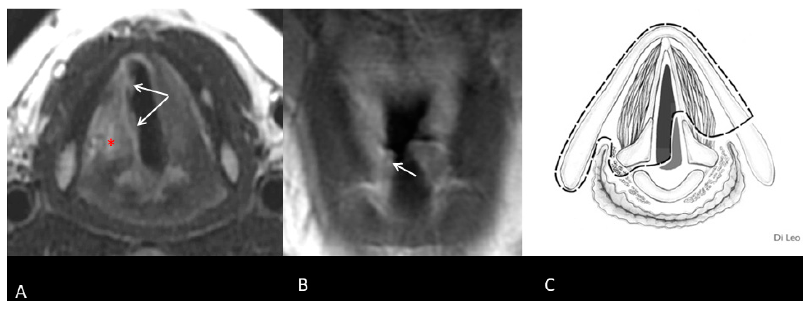 Curroncol 32 00012 g001