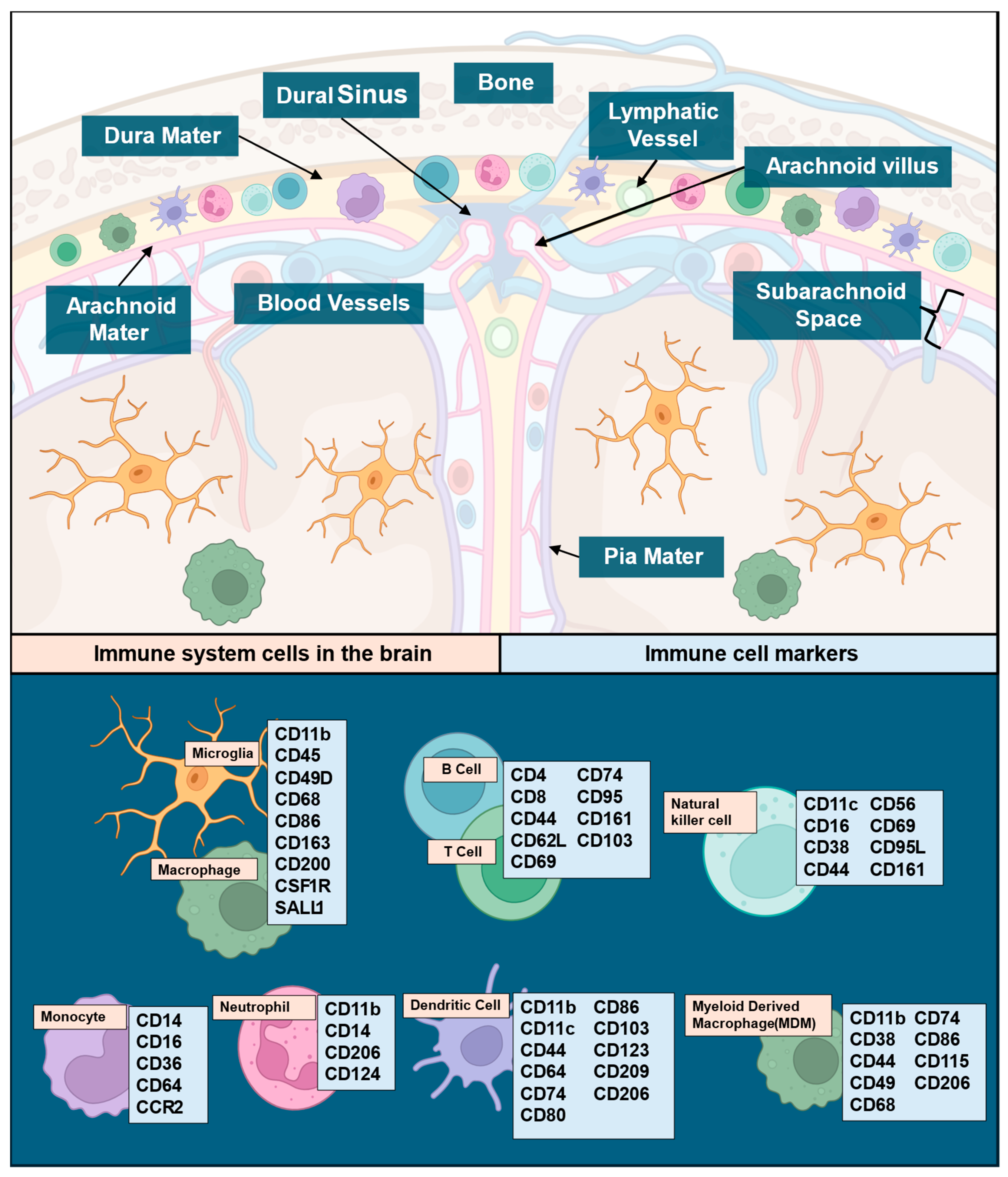 Curroncol 32 00016 g001 Curroncol 32 00016 g001