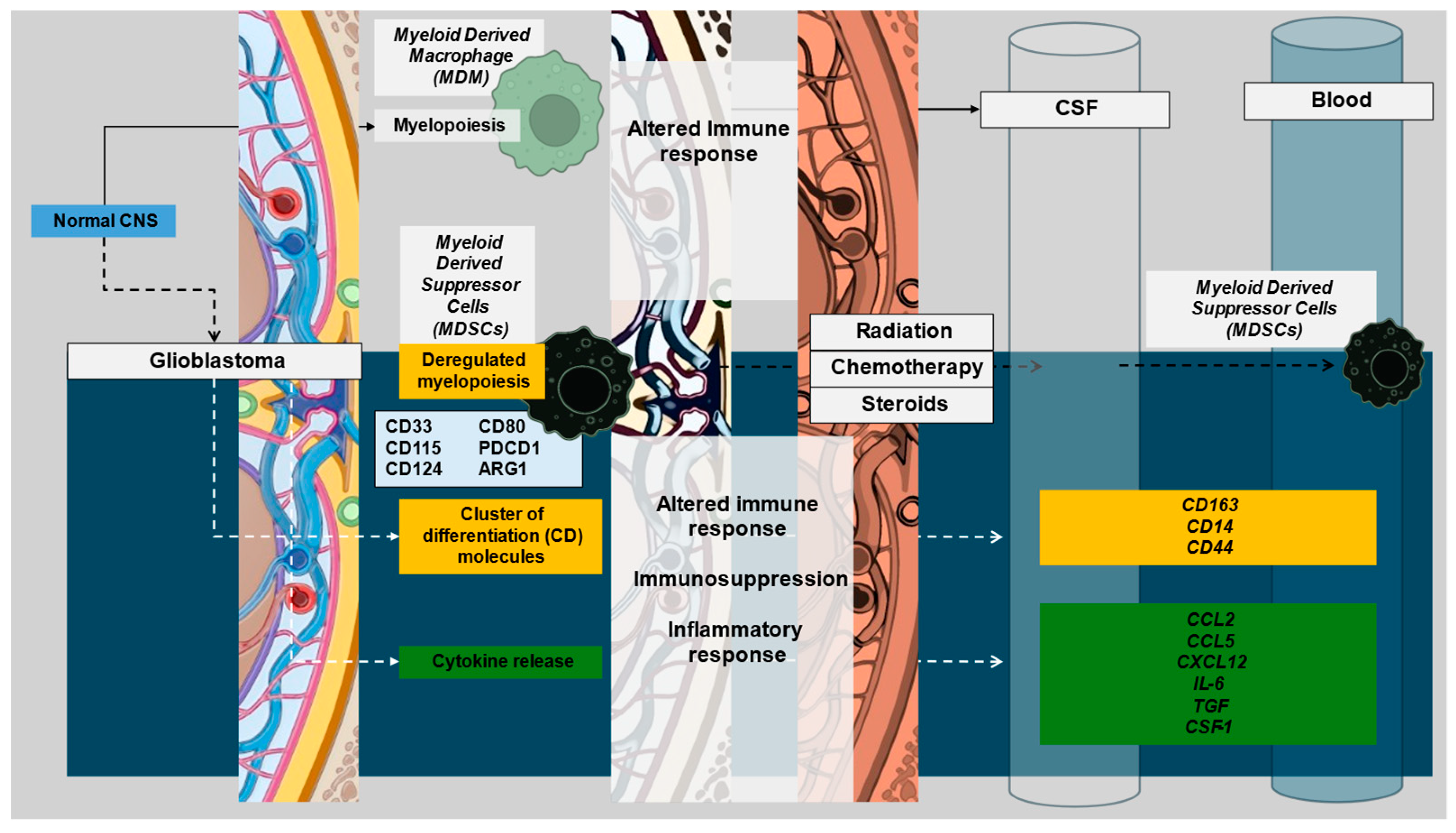 Curroncol 32 00016 g002 Curroncol 32 00016 g002