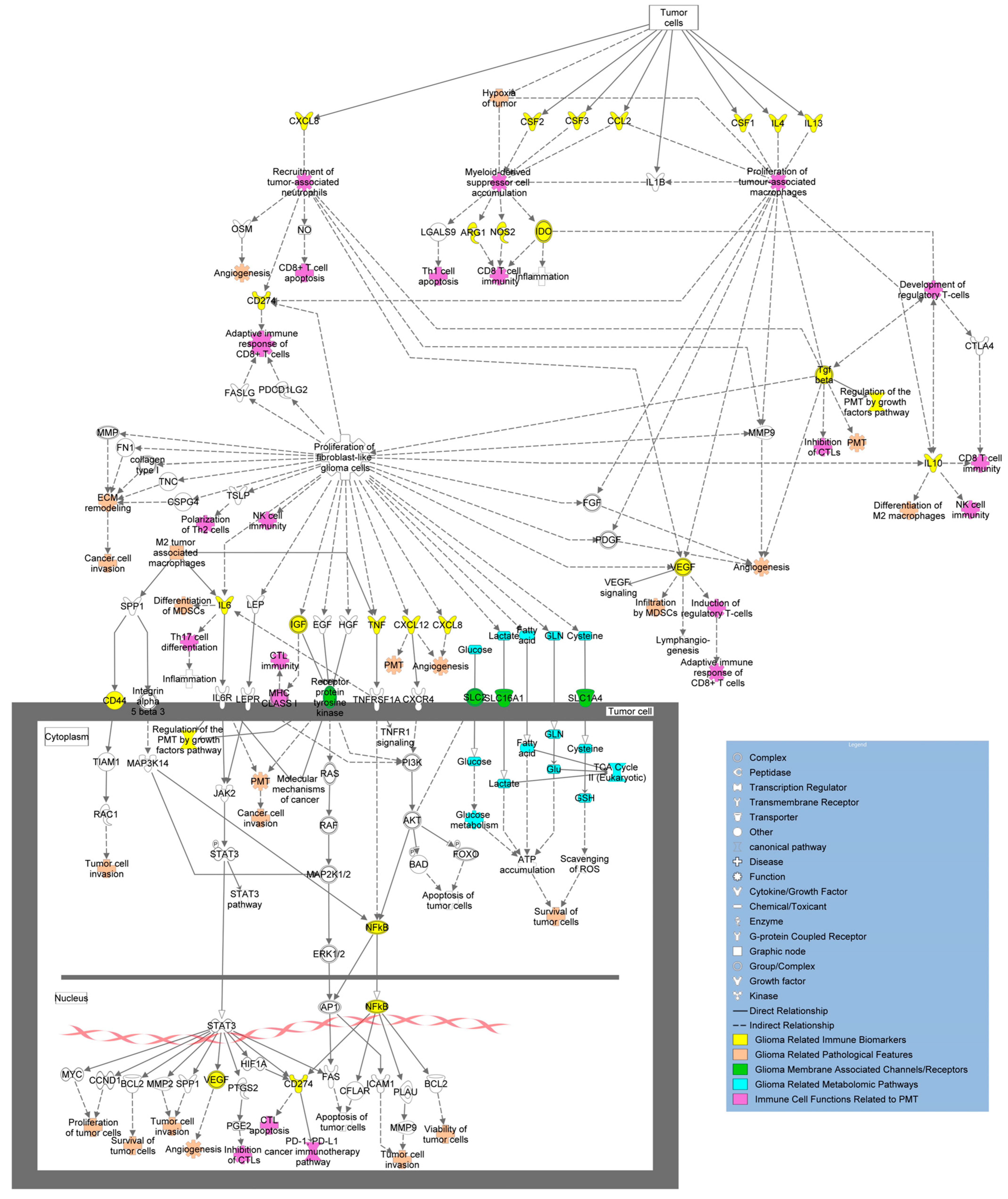 Curroncol 32 00016 g005 Curroncol 32 00016 g005