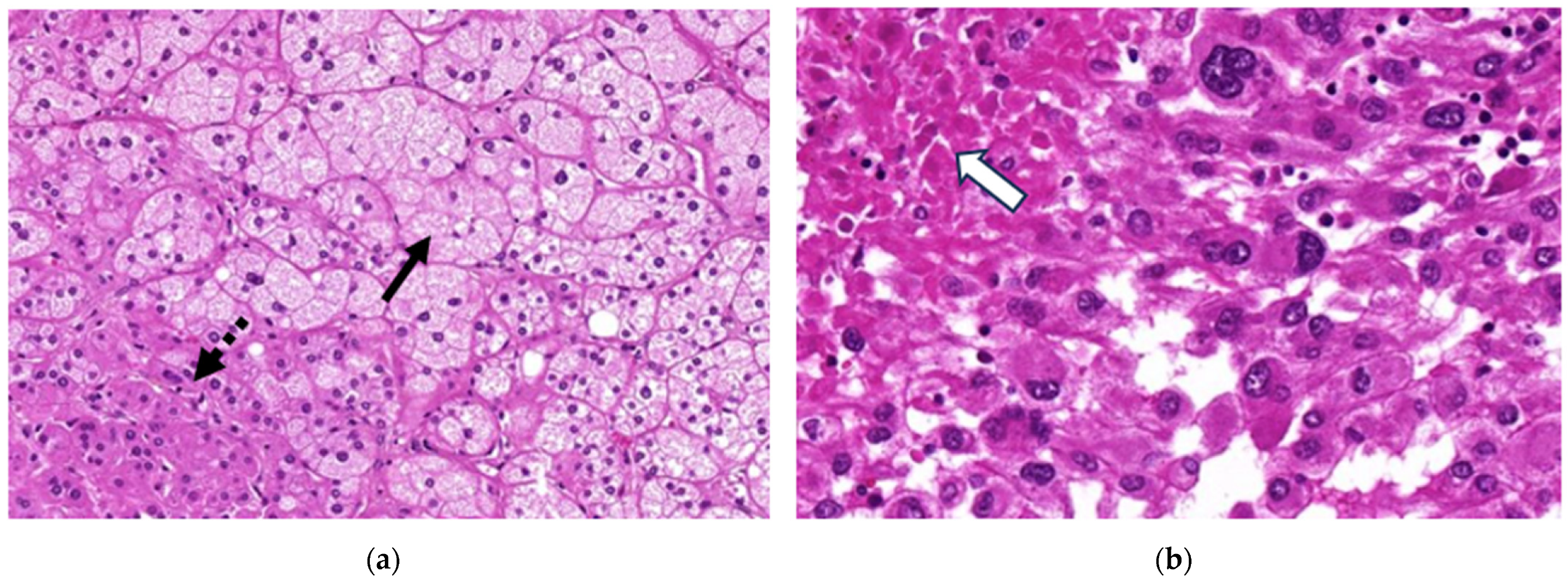 Curroncol 32 00025 g002