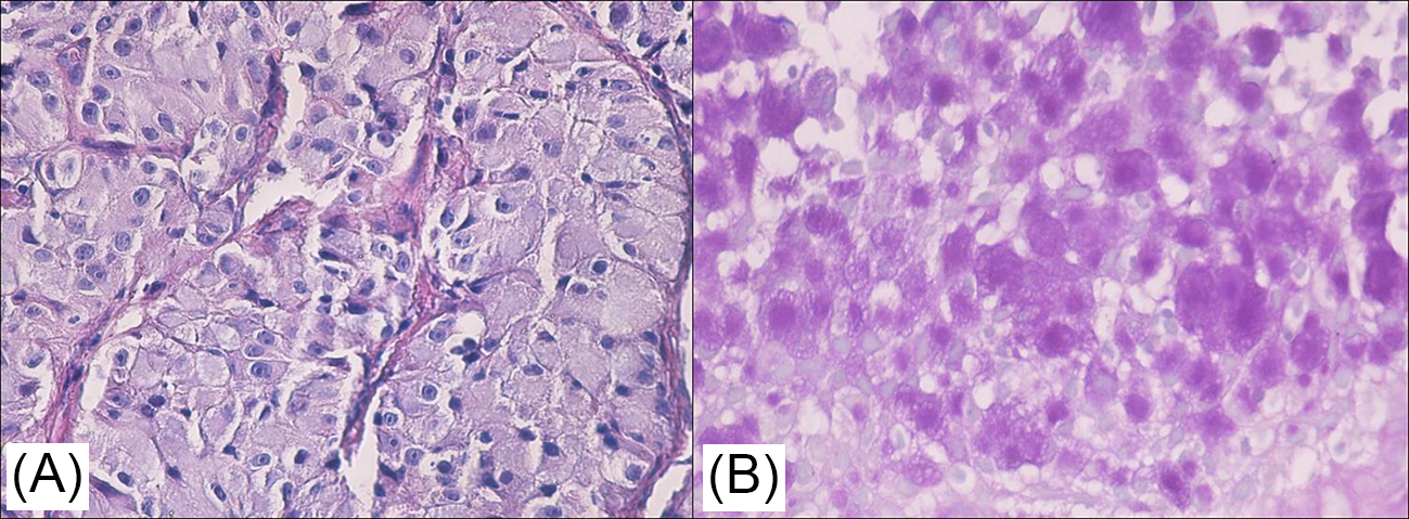 Curroncol 32 00037 g003